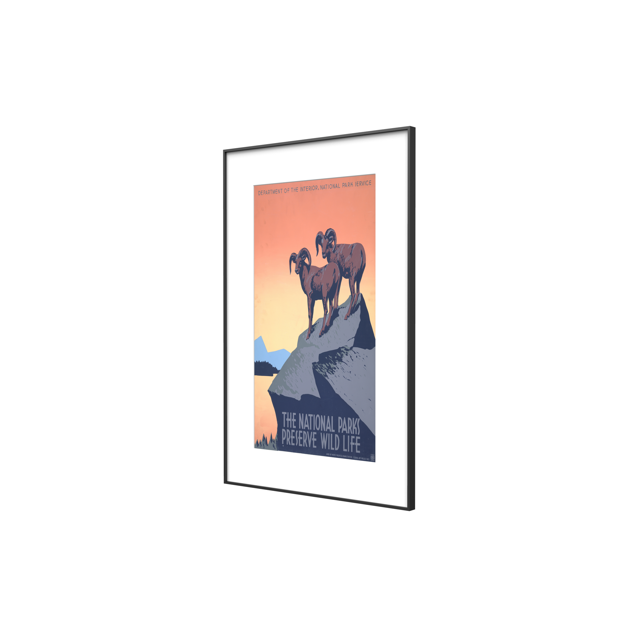 31vpersp01_3.png