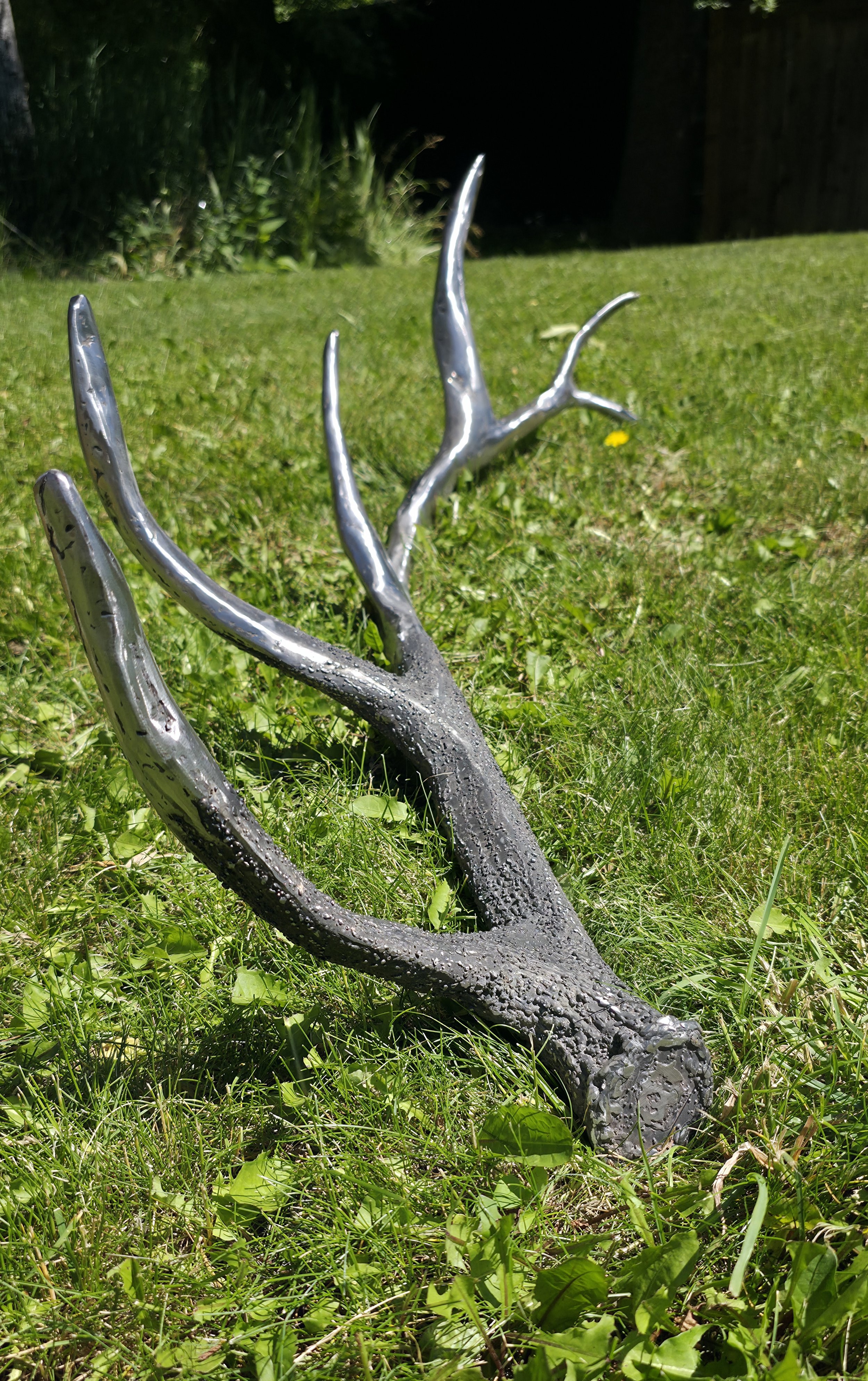 20260623_151241.jpg