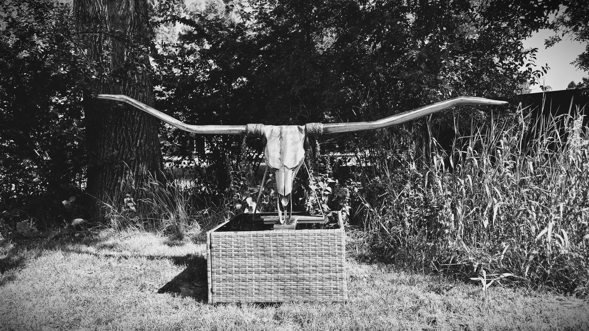 Metal longhorn sculpture