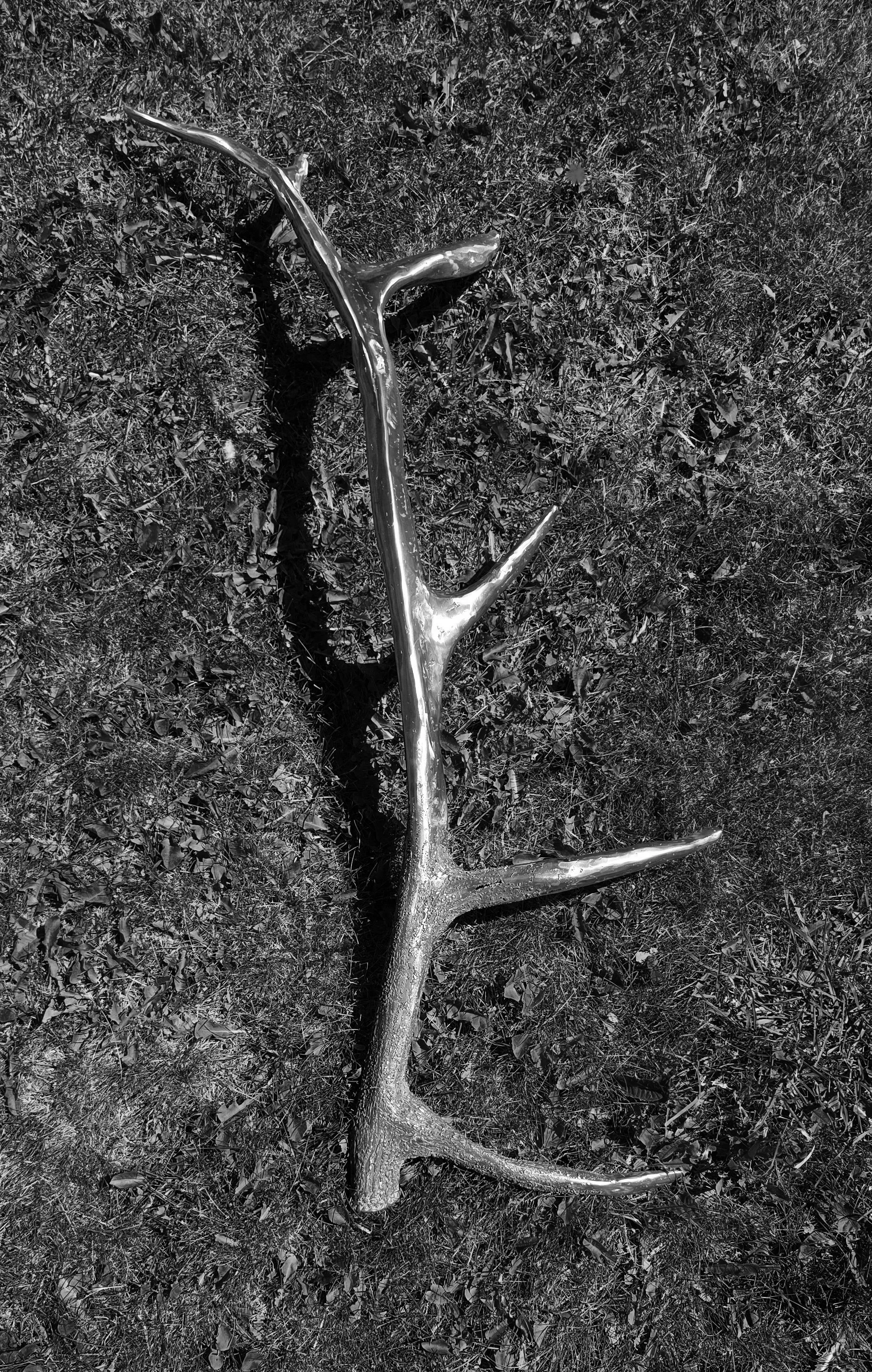 Elk Shed