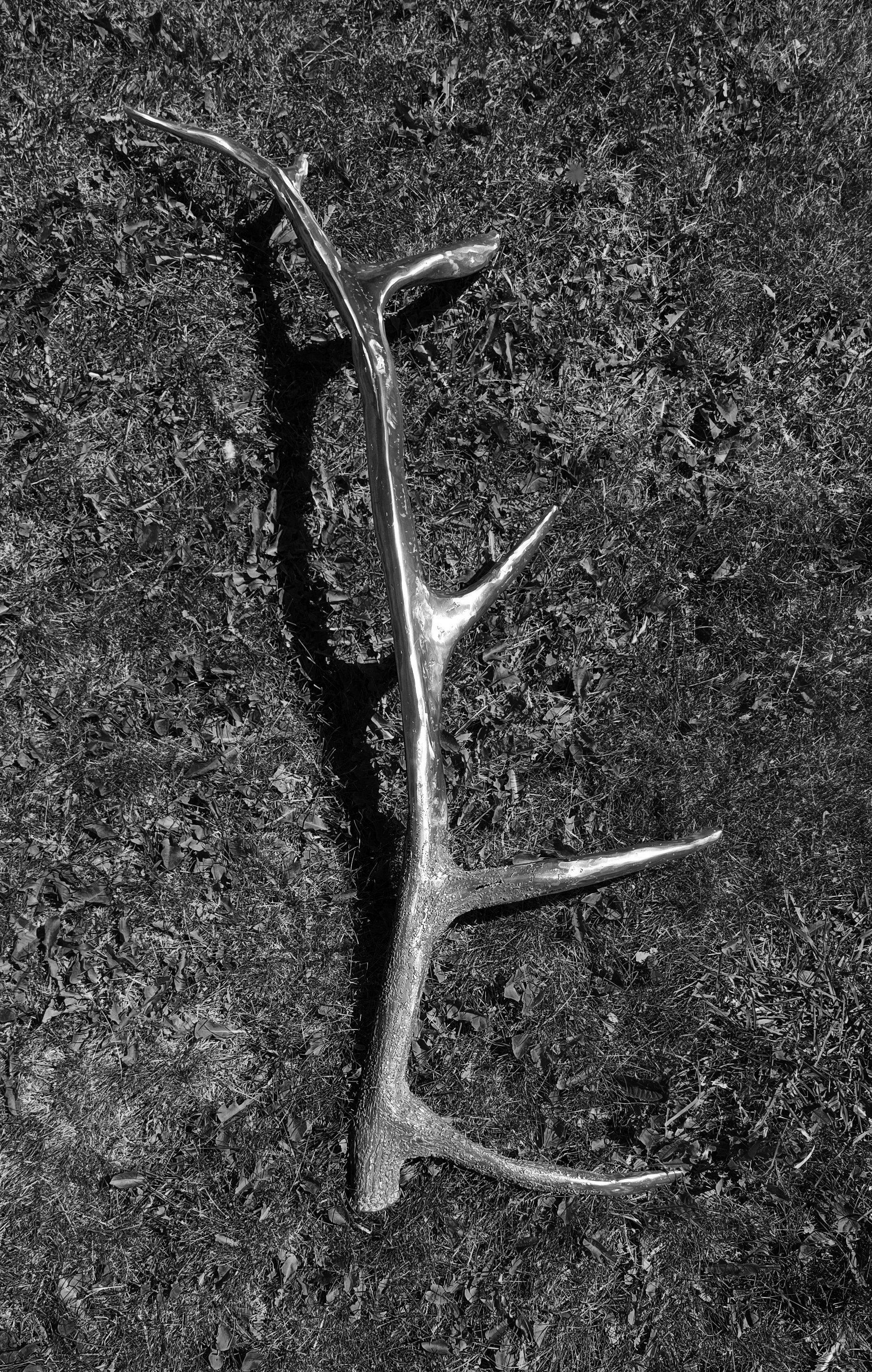 Steel elk shed