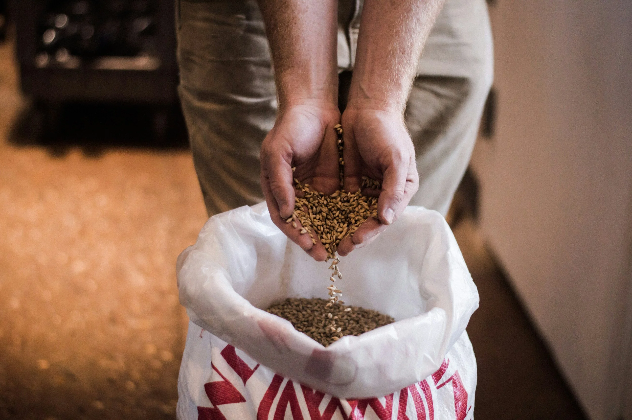 Close-up of a person's hands pouring wheat grains from a bag into a white sack.