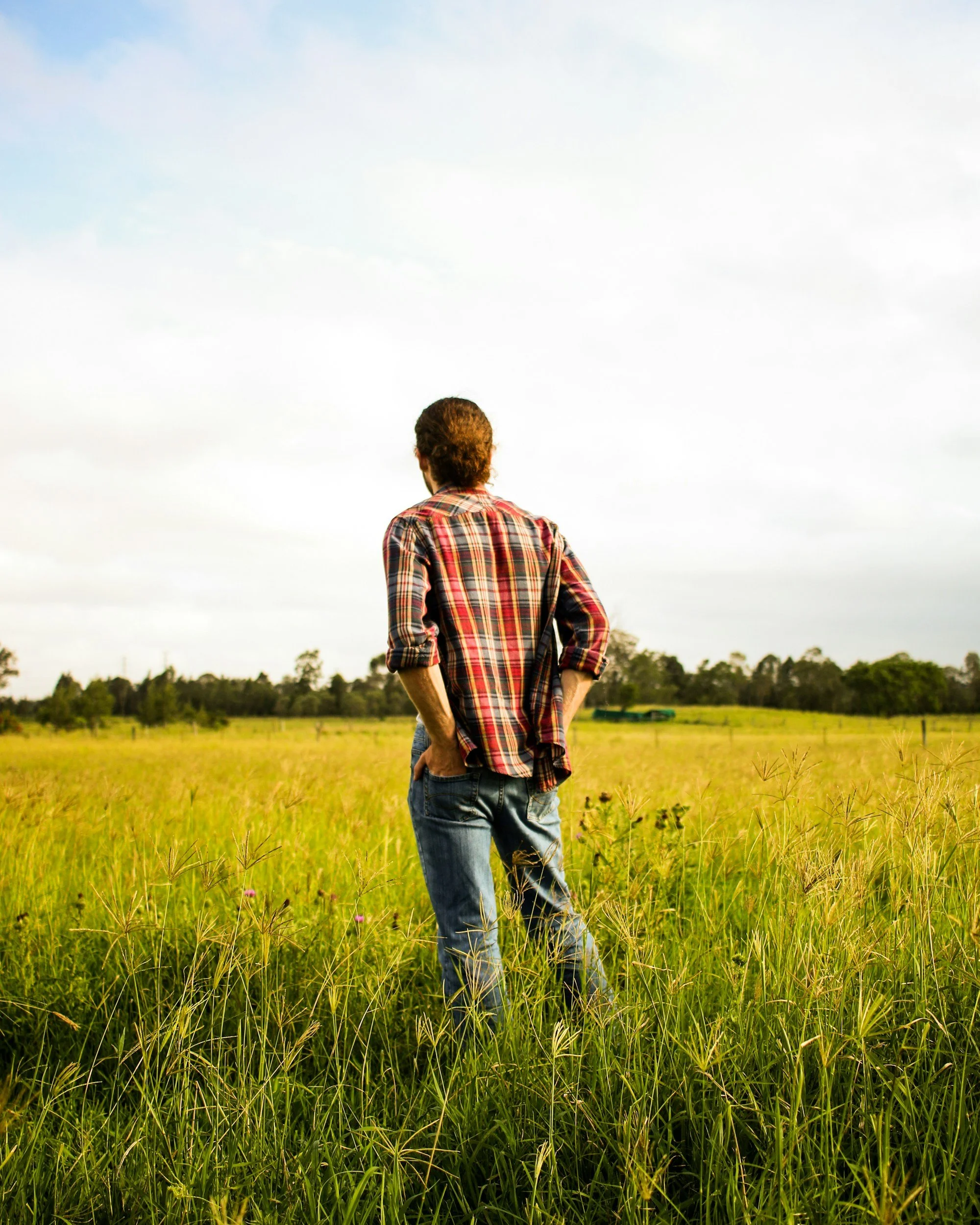 A man with curly hair wearing a red plaid shirt and jeans stands in a green field, looking towards the sky with trees and a cloudy sky in the background.