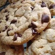 Chocolate+Chip.jpg