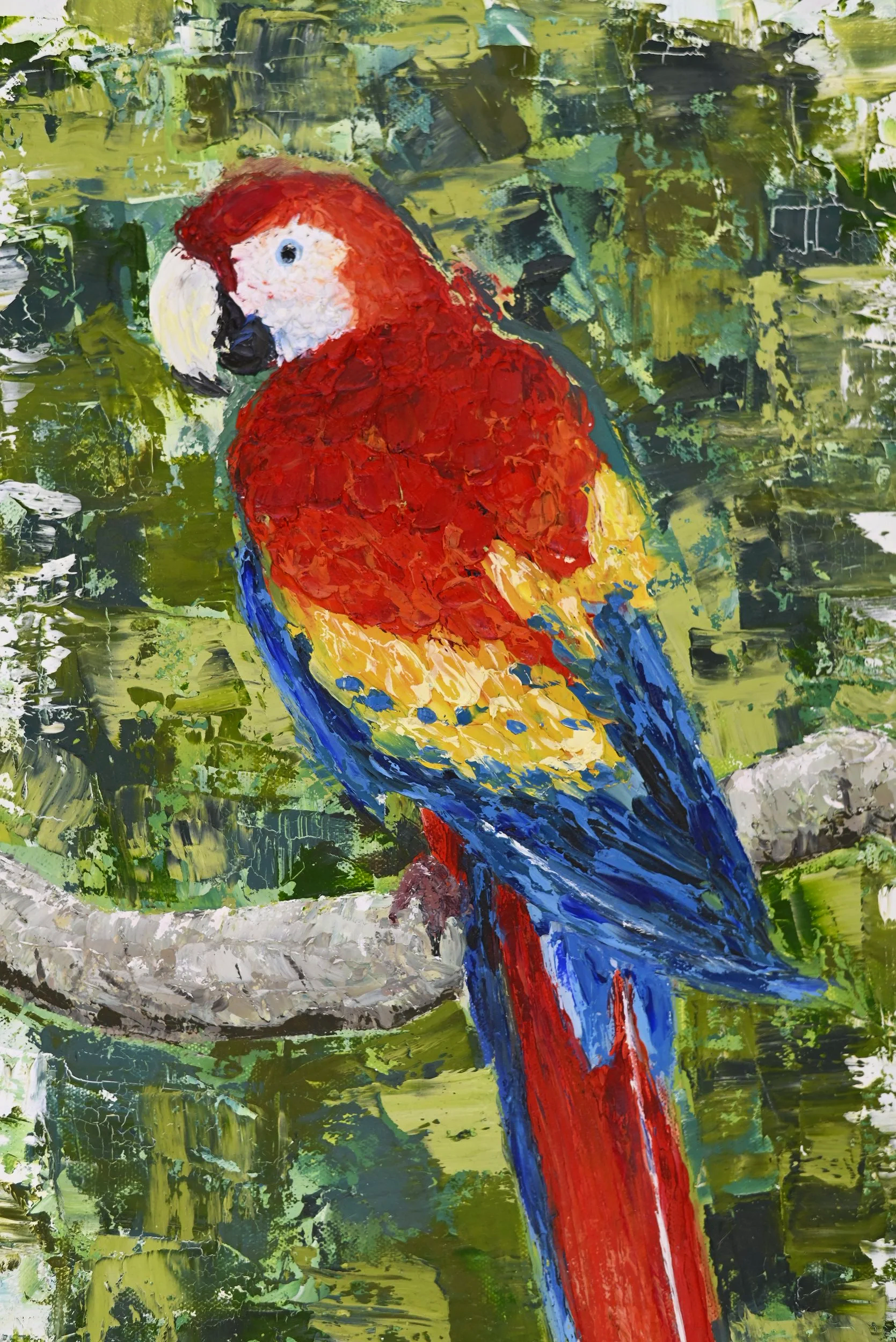 Living Rainbow - Parrot