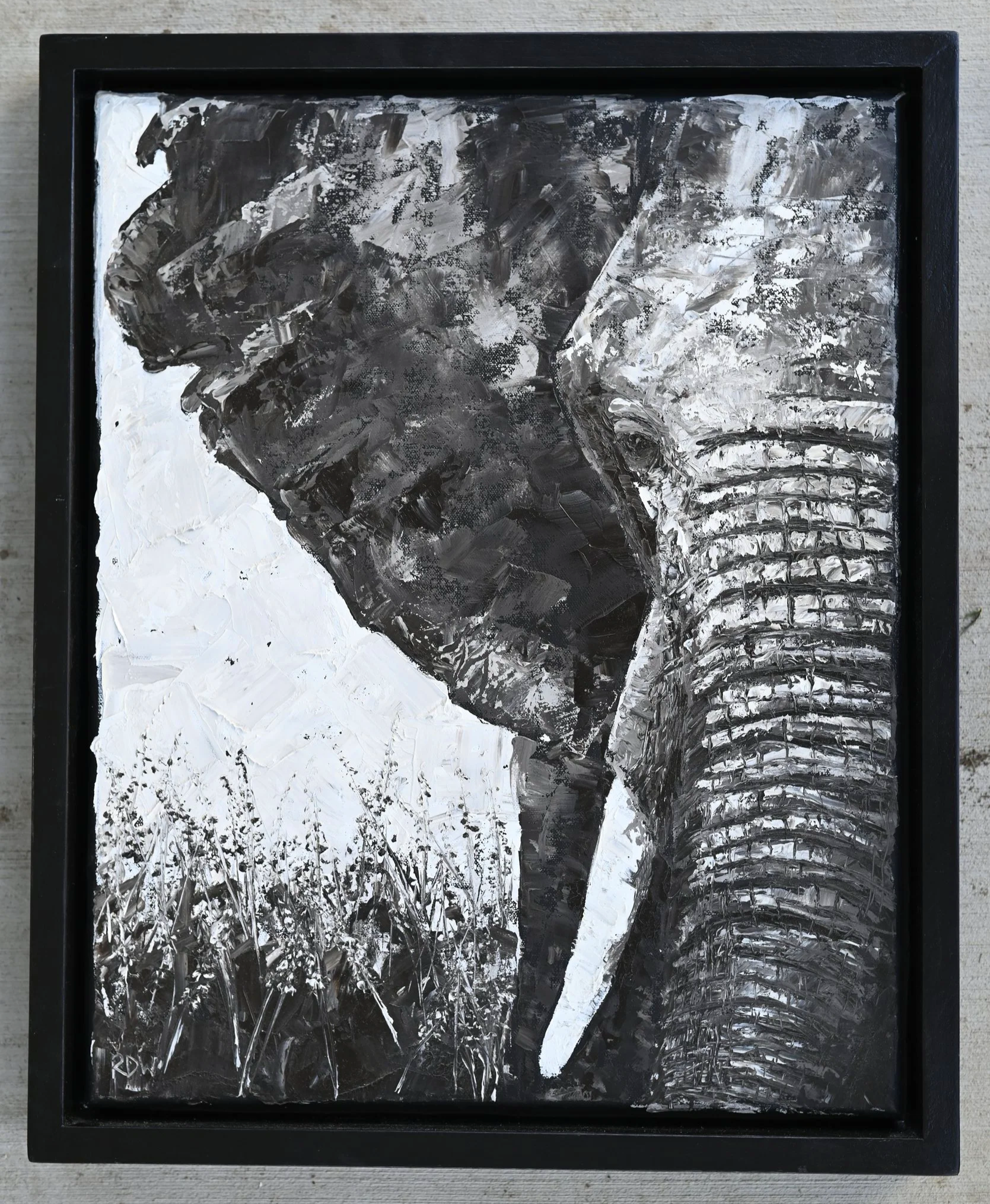 Elephant+Print.png