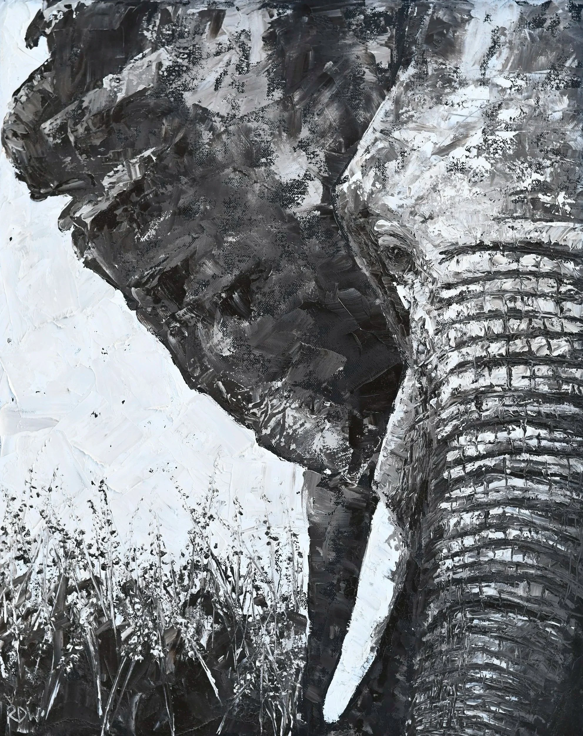Majesty - Elephant