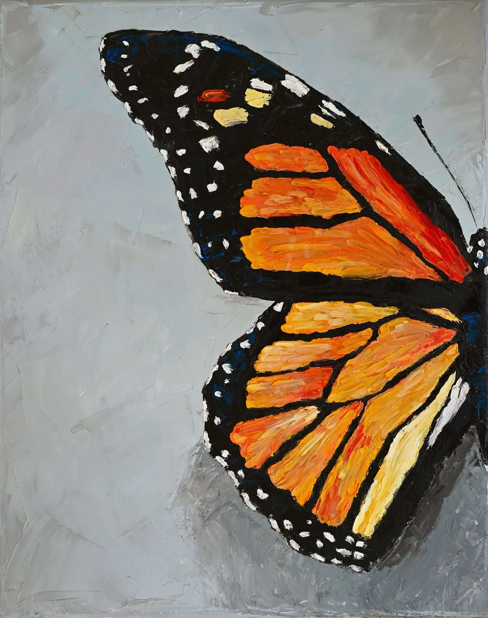Delicate Intricacy - Monarch Butterfly