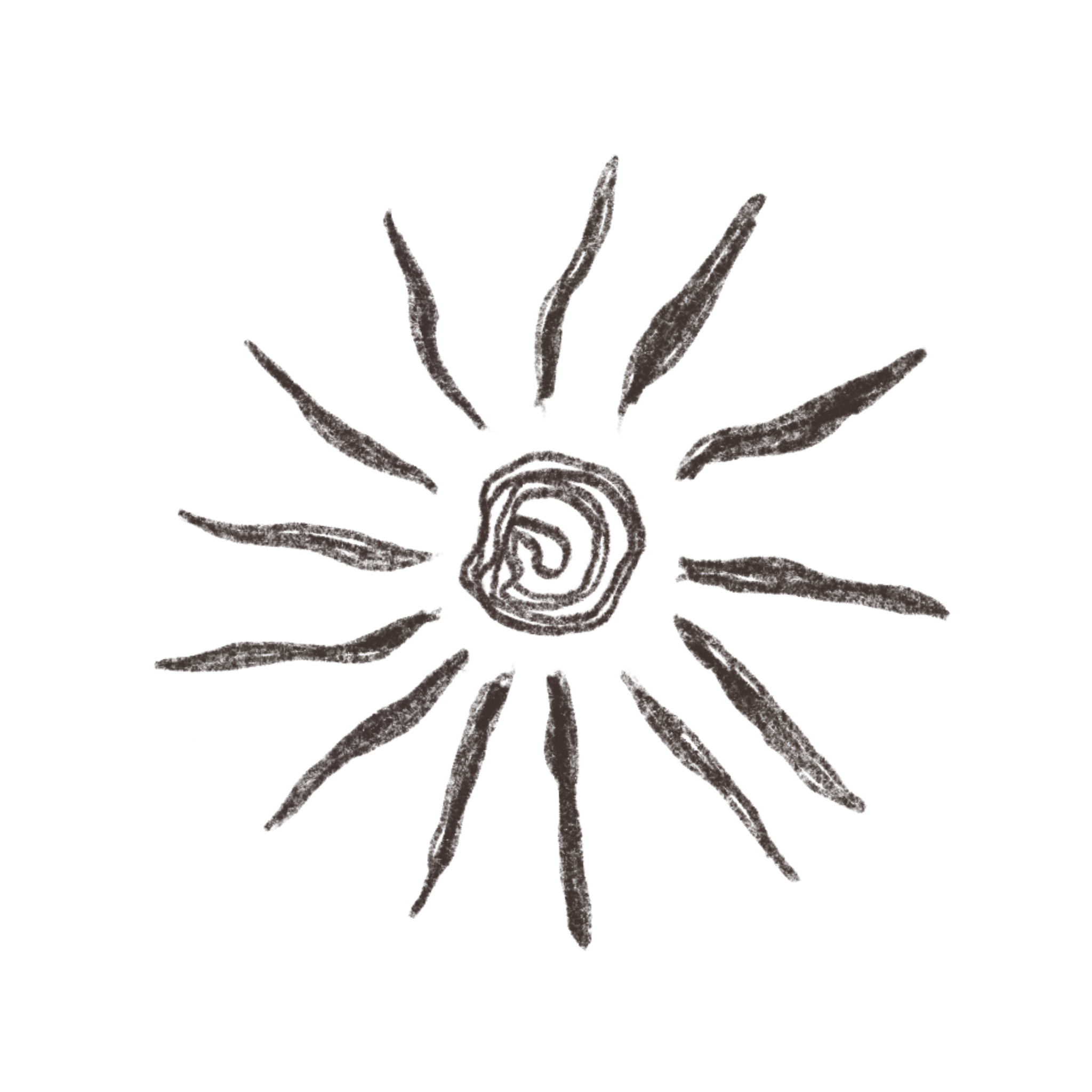 A hand-drawn illustration of a plant with thin leaves and a spiral base, all in black against a transparent background.