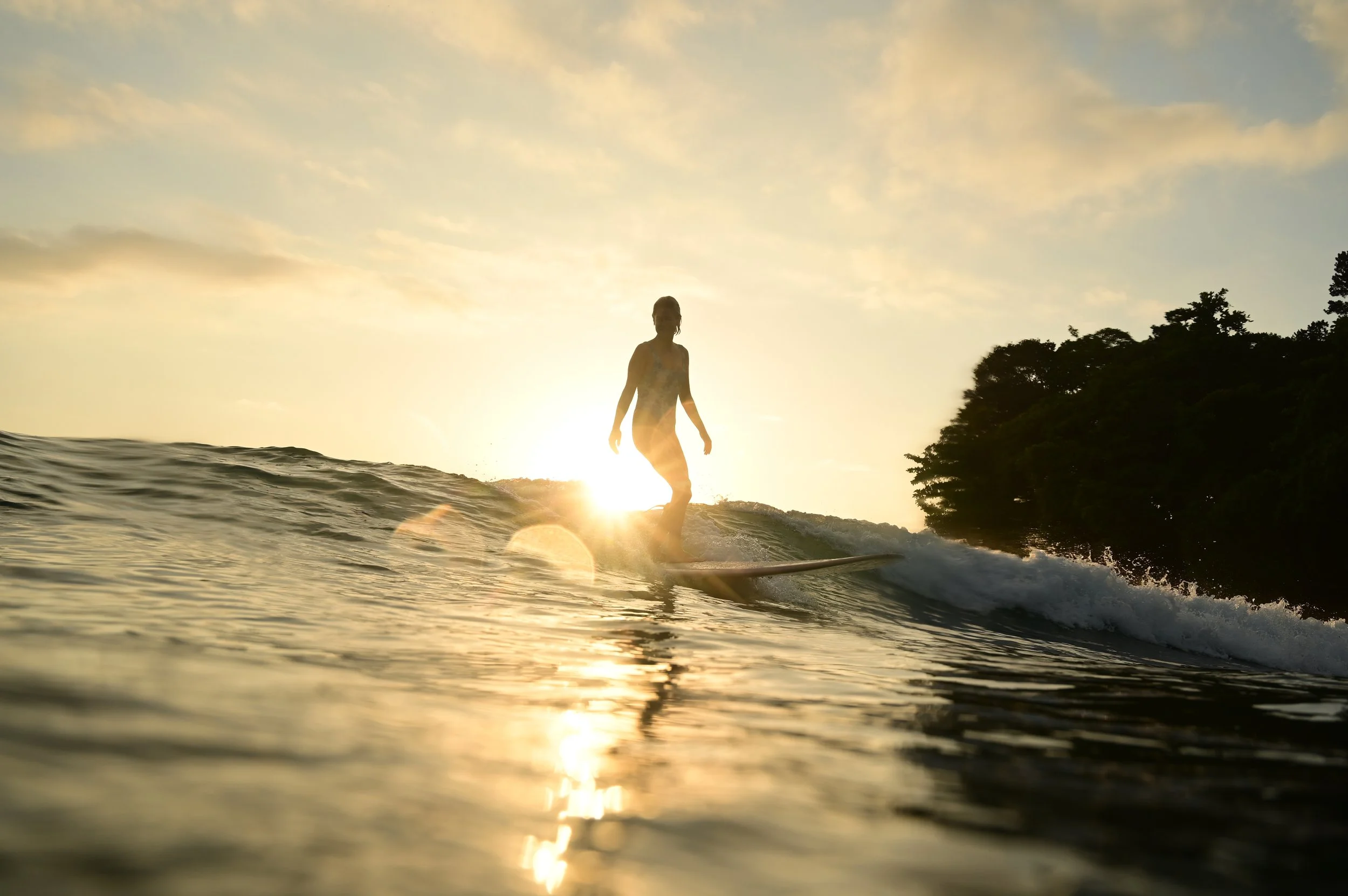 Person standing on a surfboard riding a wave at sunset, with trees in the background and the sun low in the sky.