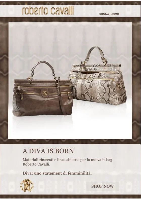 Two handbags, one brown and the other snake print, displayed in a fashion ad for Roberto Cavalli.