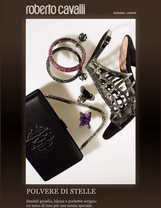 Fashion accessories including multiple rings, a pair of silver heels with cutouts and rhinestones, a black clutch with a lion emblem, a bracelet, a necklace, and a purple gemstone ring, arranged on a white background.