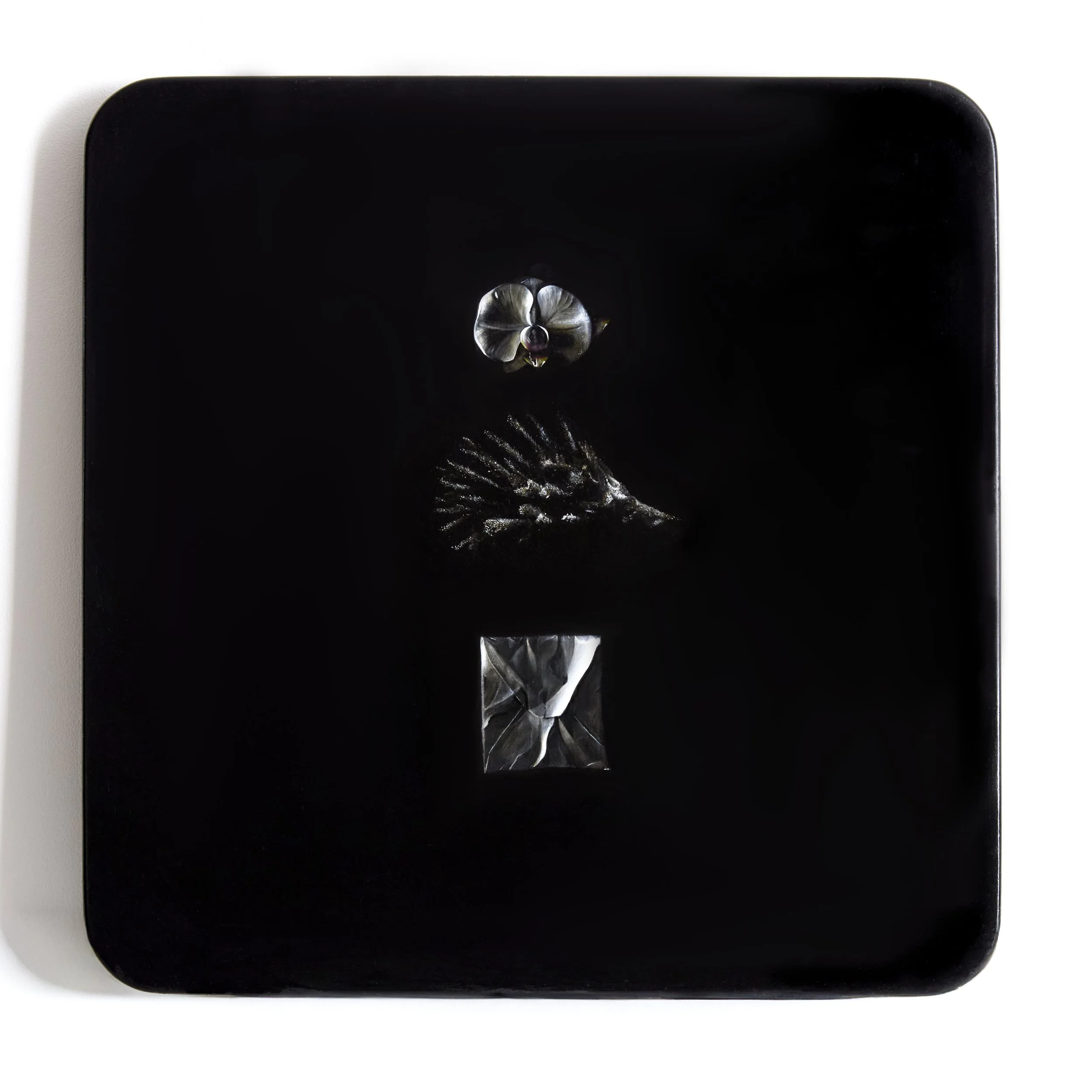 An orchid, coral and evelope on a black background, with the top and bottom objects reflecting light.