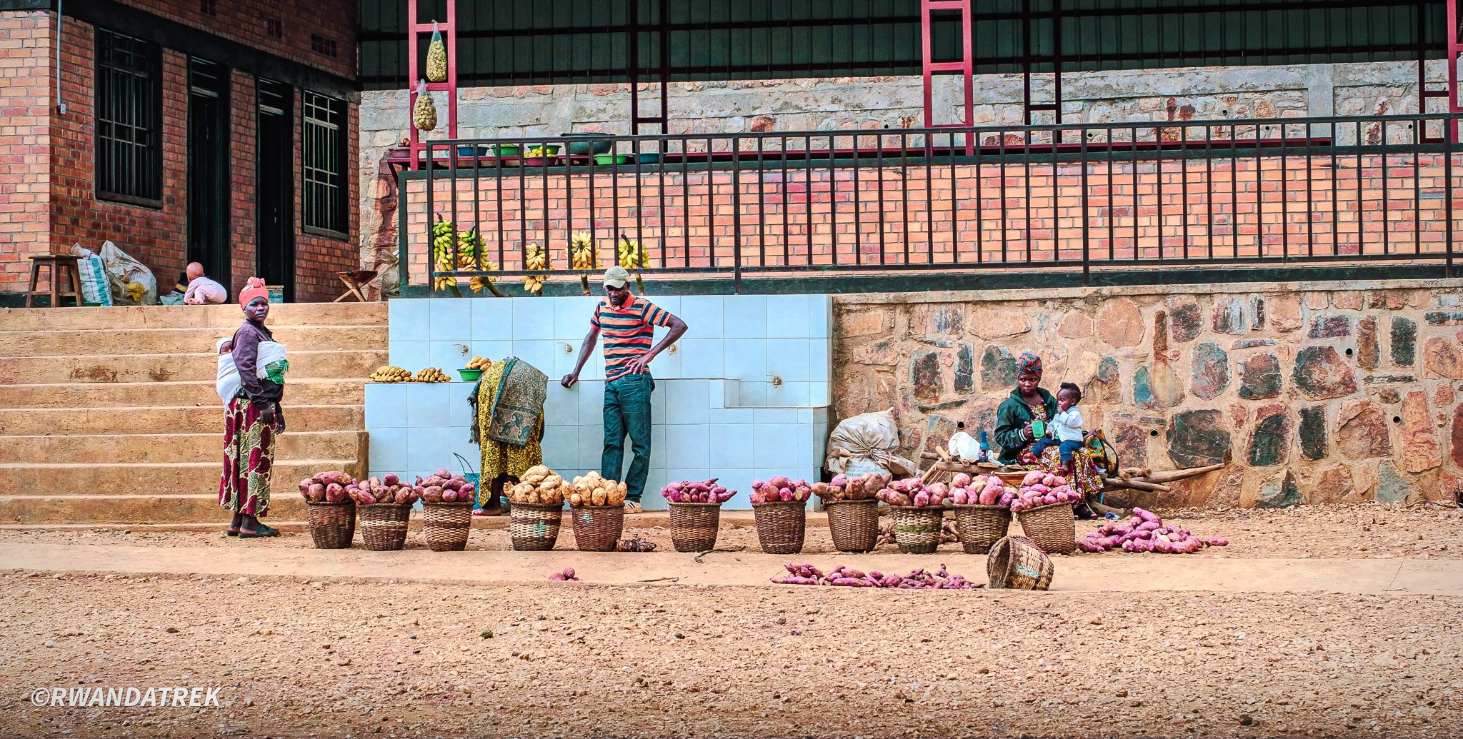 Market Life 