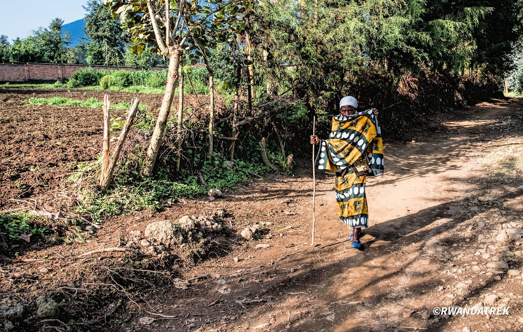 A village elderly woman strolls through the forest in the early morning hours in Kinigi, Rwanda.