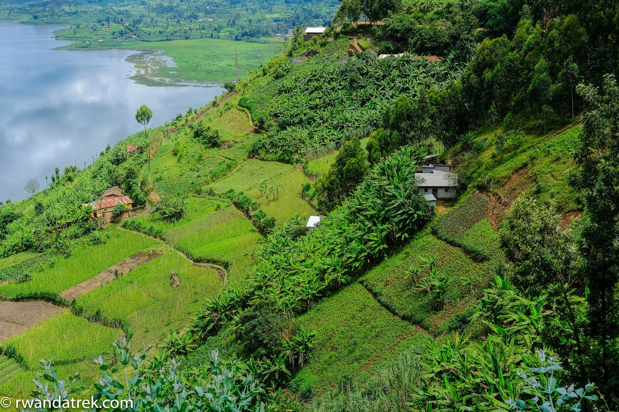Hills Above Lake Ruhondo, Rwanda