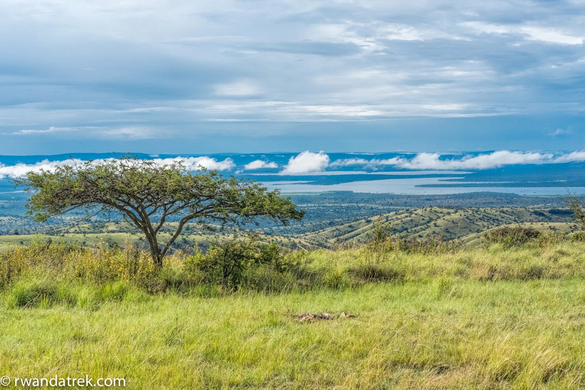 Akagera National Park - Tanzania in Distance