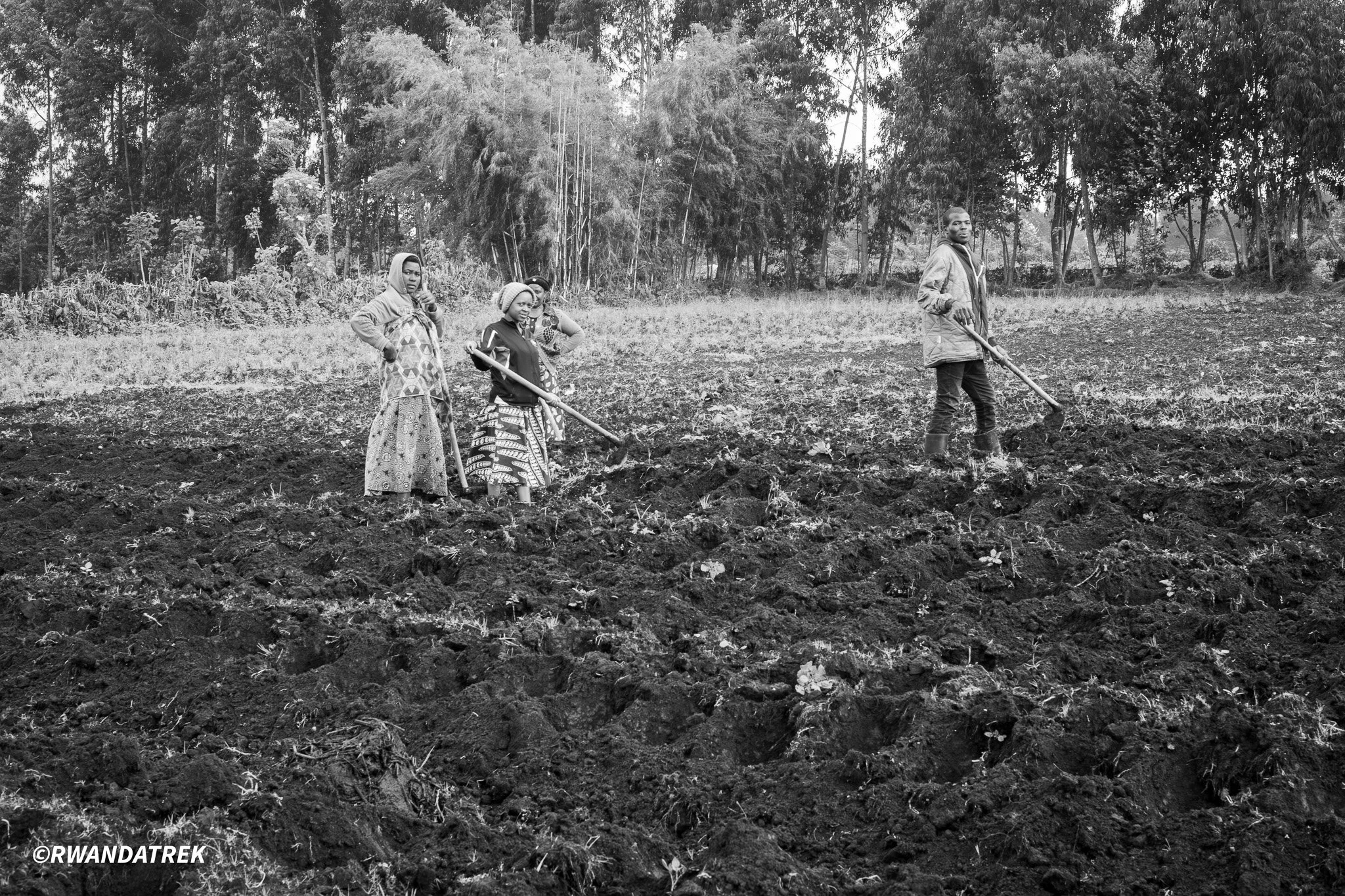 Farming Family - Kinigi