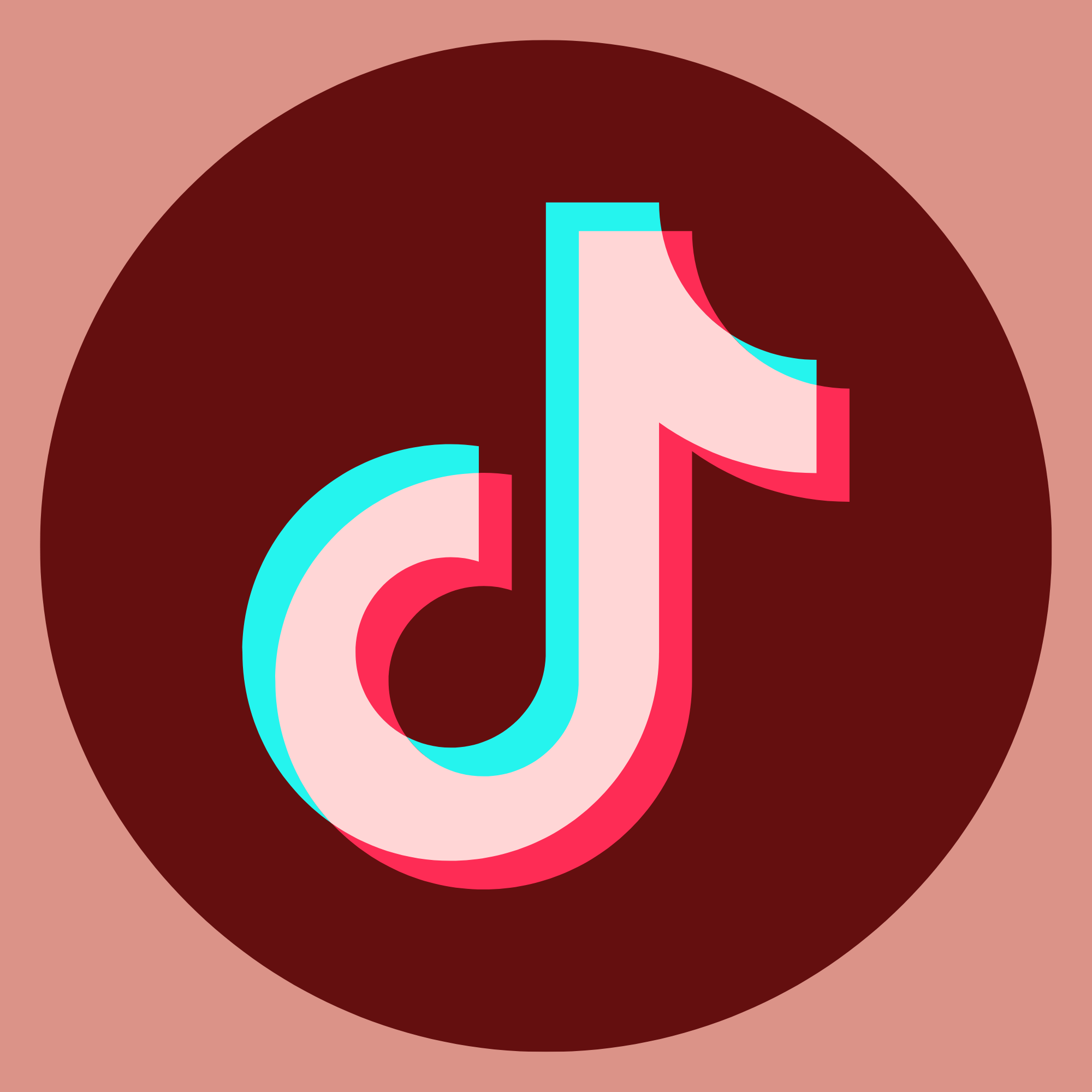 TikTok logo that links to our TikTok page.