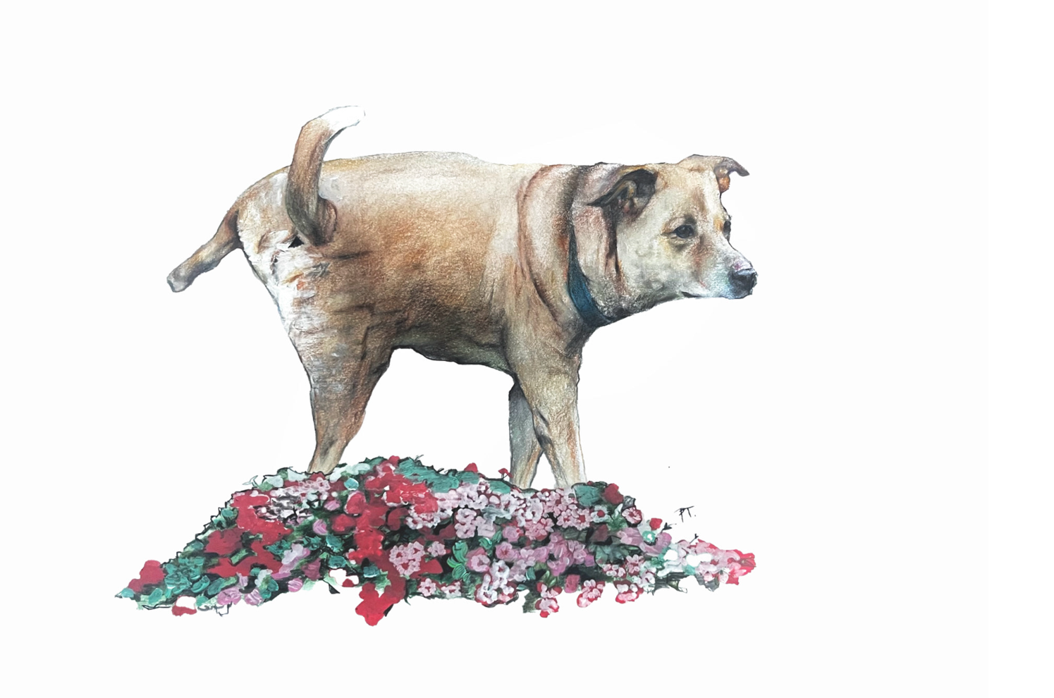 Discovering Artists: Penny Tetlow