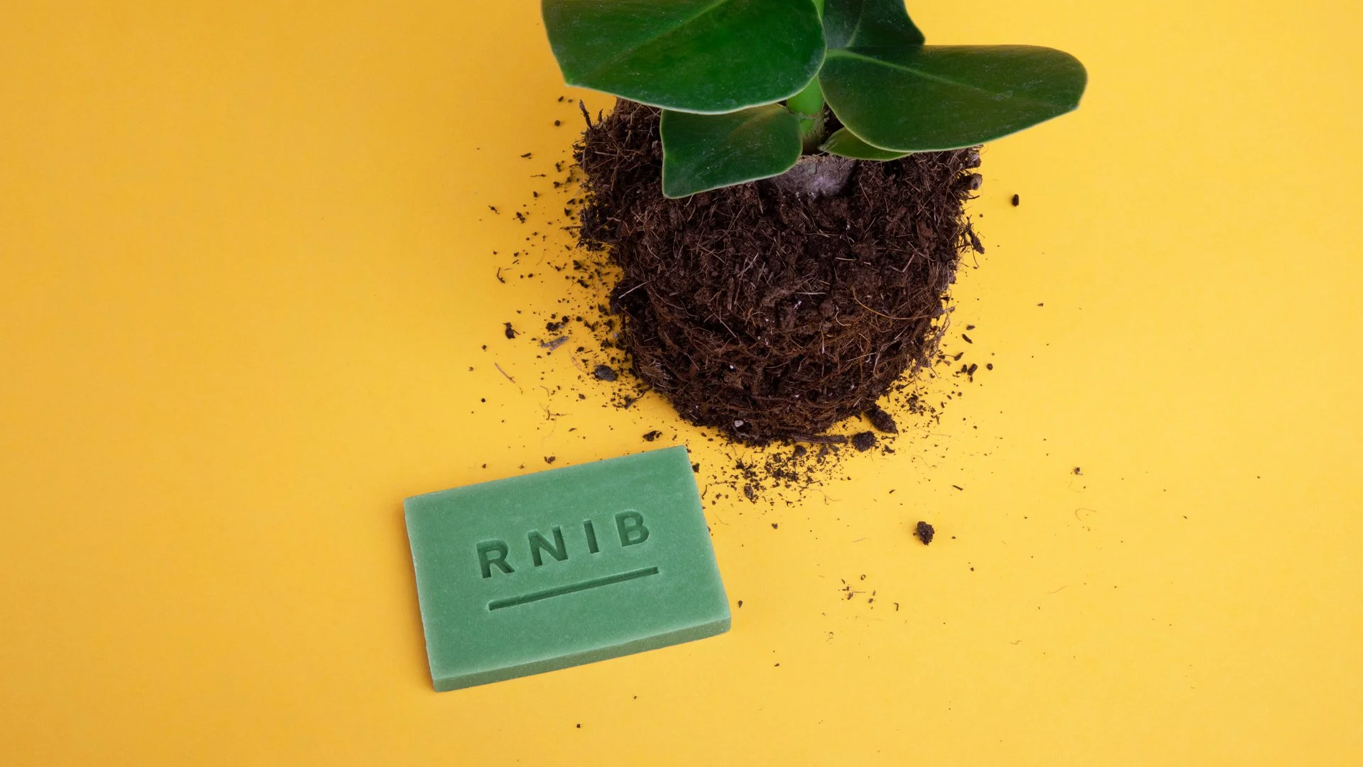 RNIB_PRODUCTS_LAYERED_6.jpg