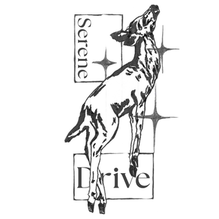 upright Deer with stars