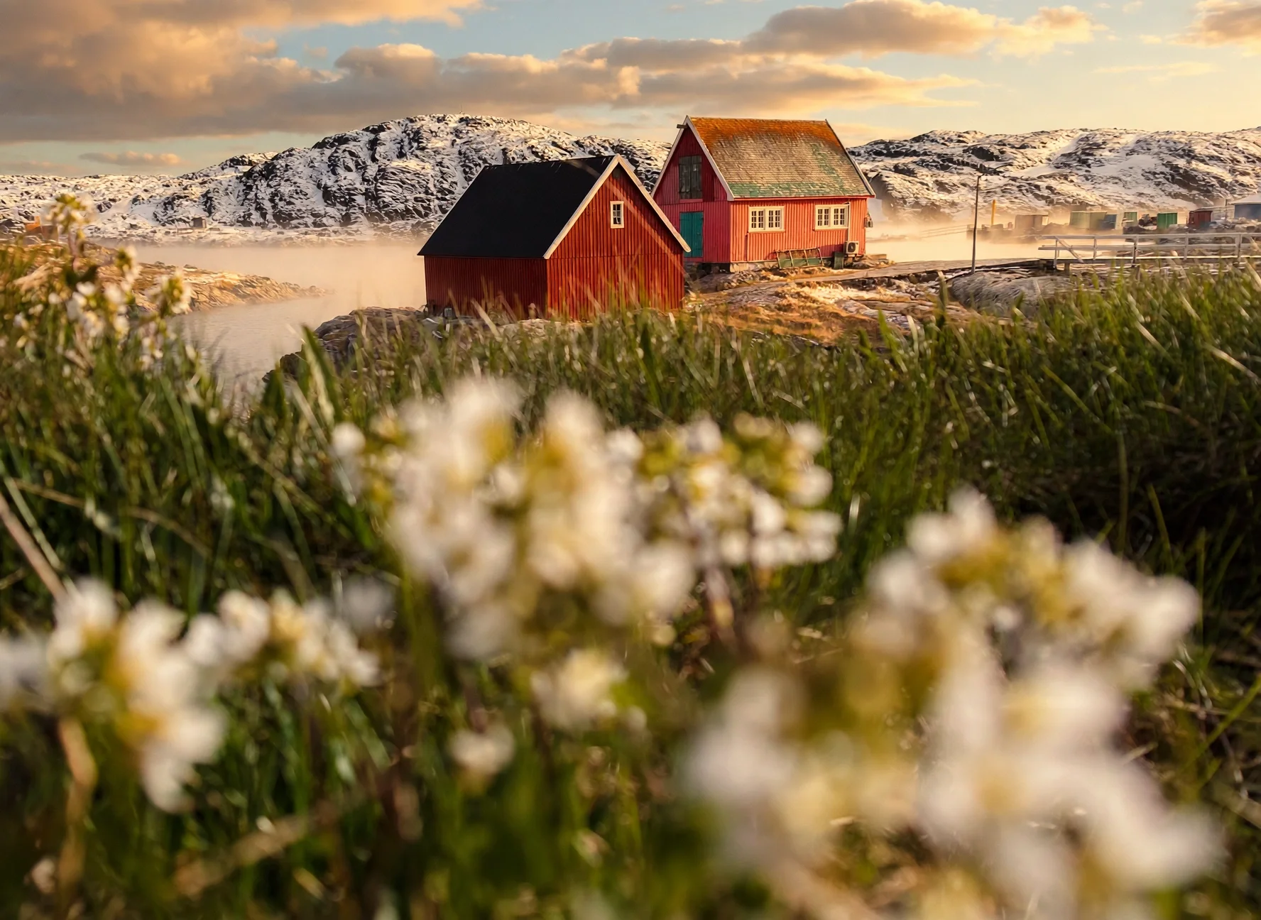 Two wooden houses, one red with a black roof and another red with a green roof, situated on rocky terrain with snow-capped mountains in the background. Foreground features blurred white flowers.