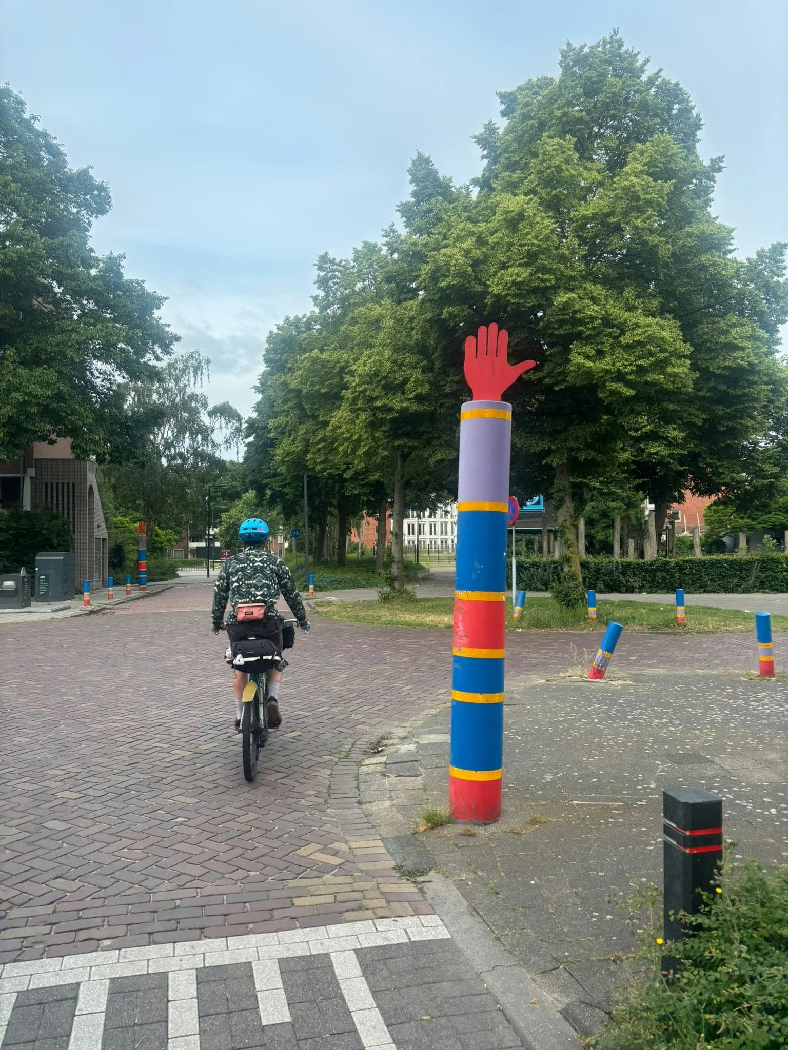 5441.jpg