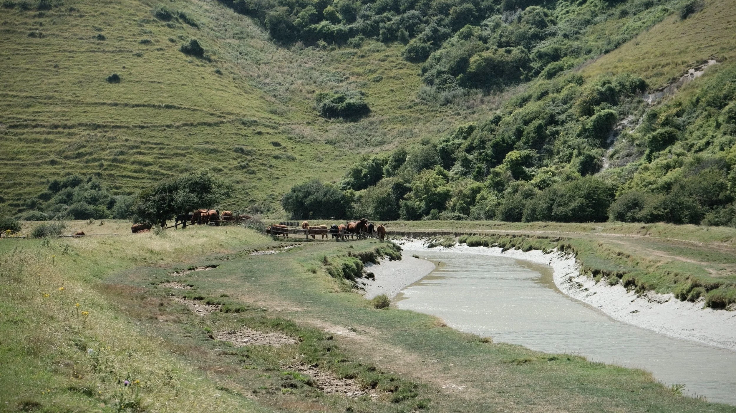 Cuckmere Haven