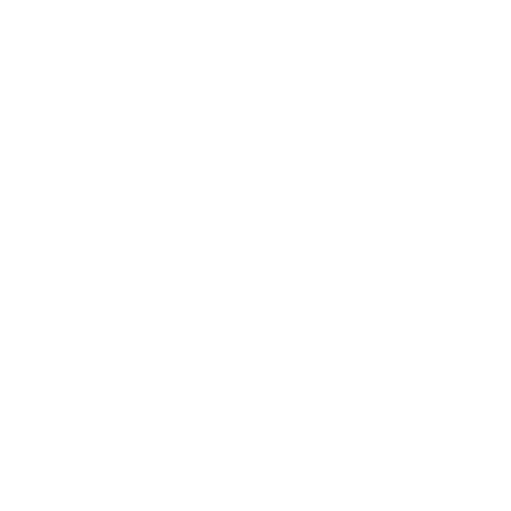 Roy Luo