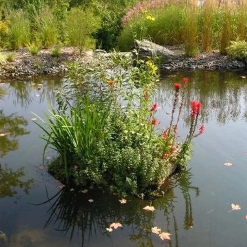 Floating Island (Floating Treatment Wetland)
