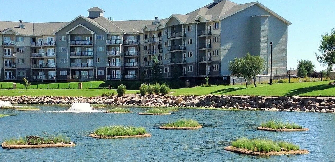 Floating Island floating treatment wetland
