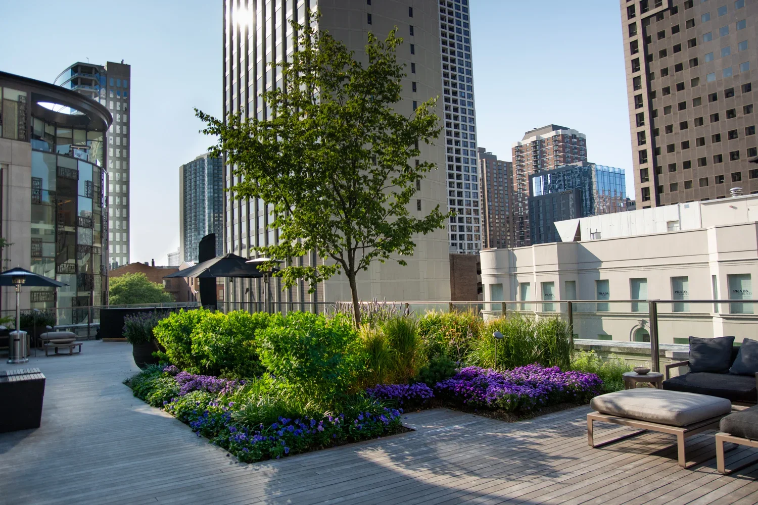 Rooftop garden with trees, shrubs and seating among Chicago high-rises