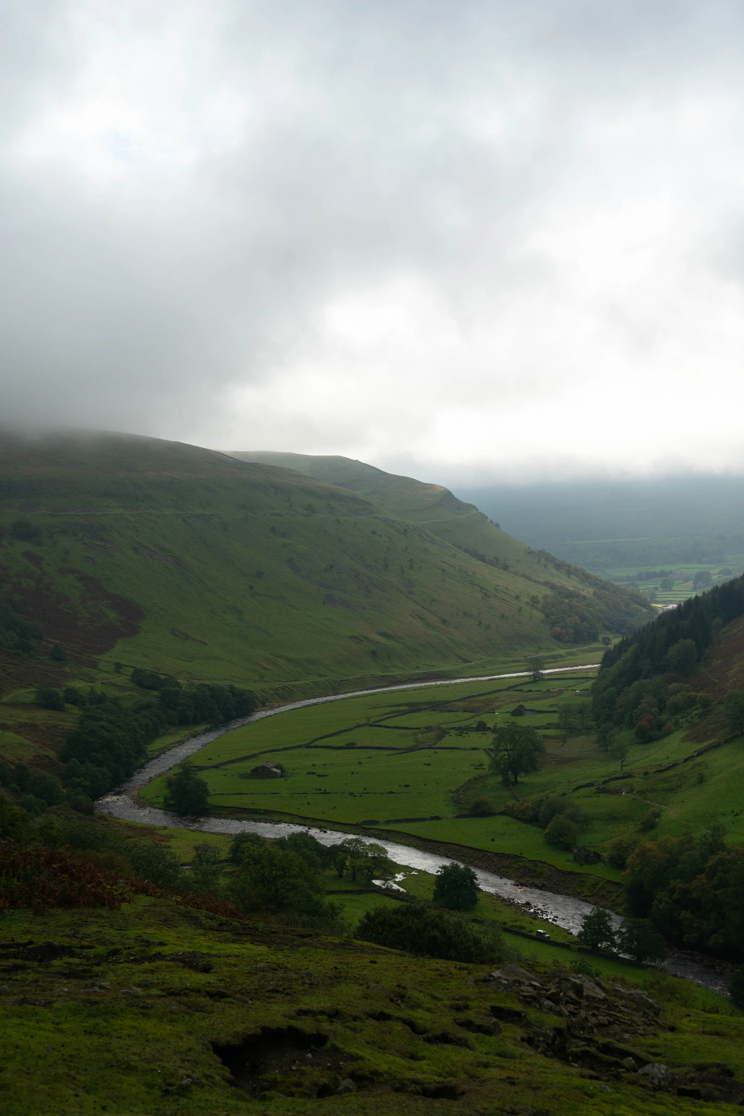 A green hilly landscape with a winding river and scattered trees, under an overcast sky.