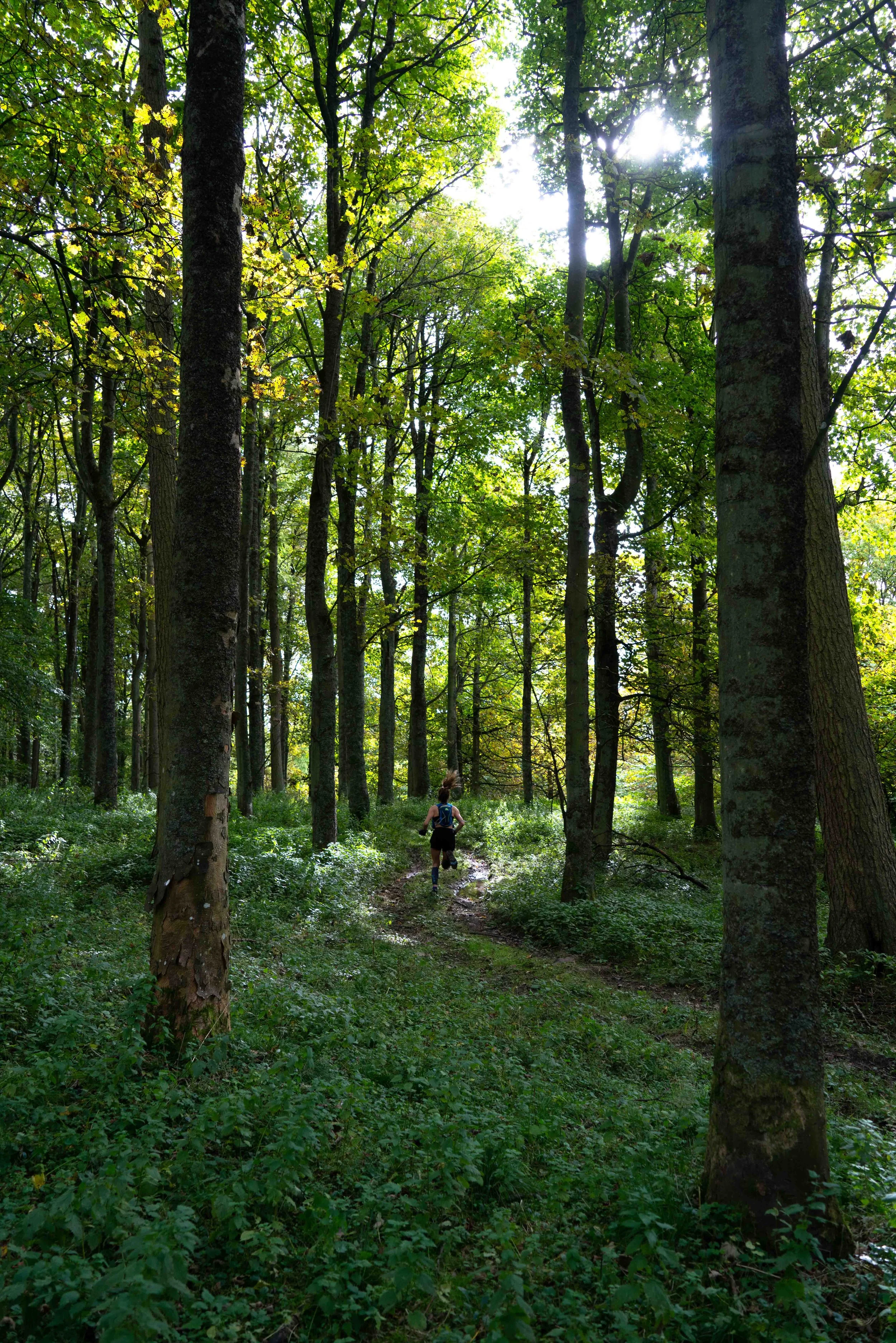 A person running through a lush green forest with tall trees, sunlight filtering through the leaves, and a dirt trail.