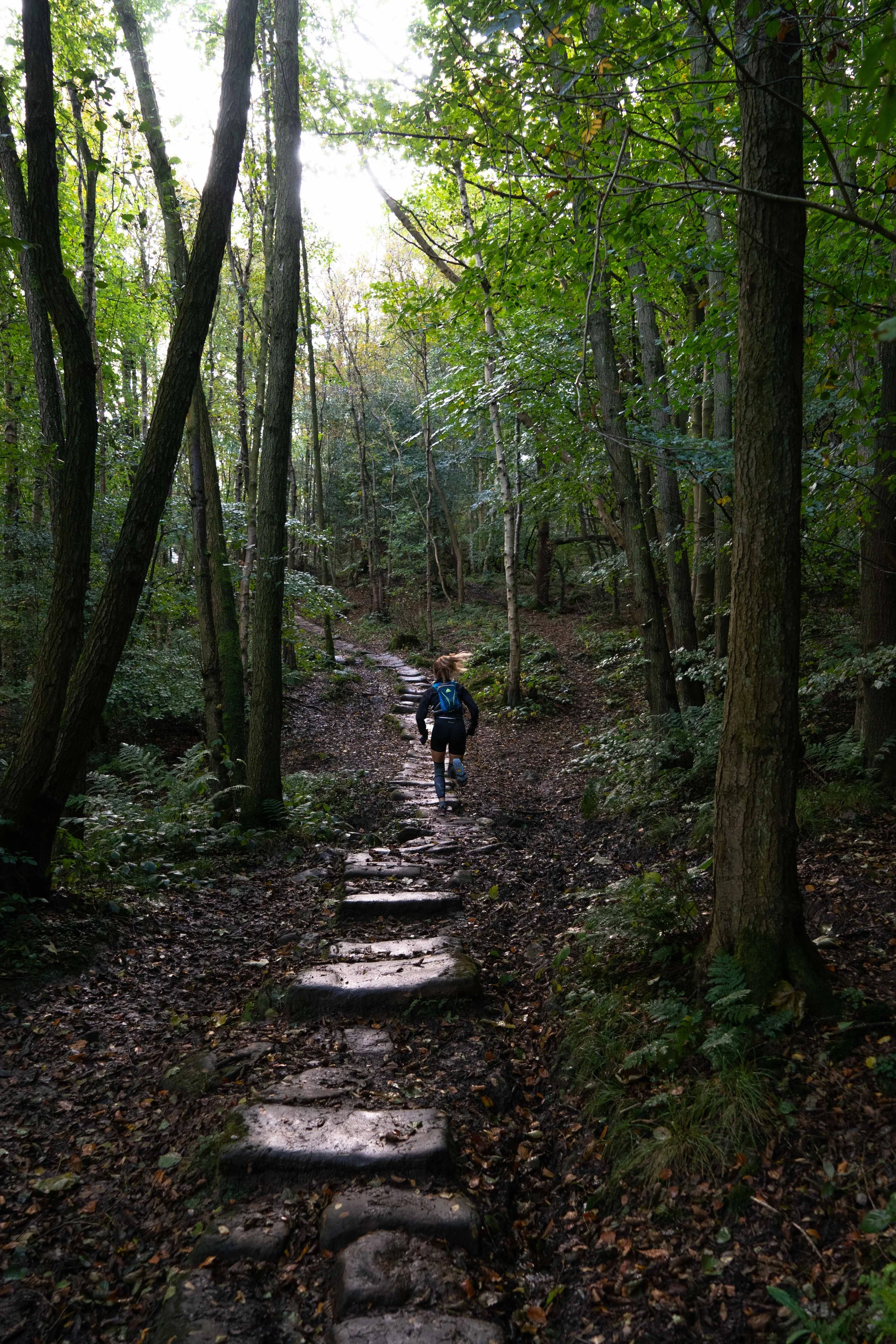 A person hiking on a narrow, rocky trail in a dense forest with tall trees and green foliage, sunlight filtering through the canopy.