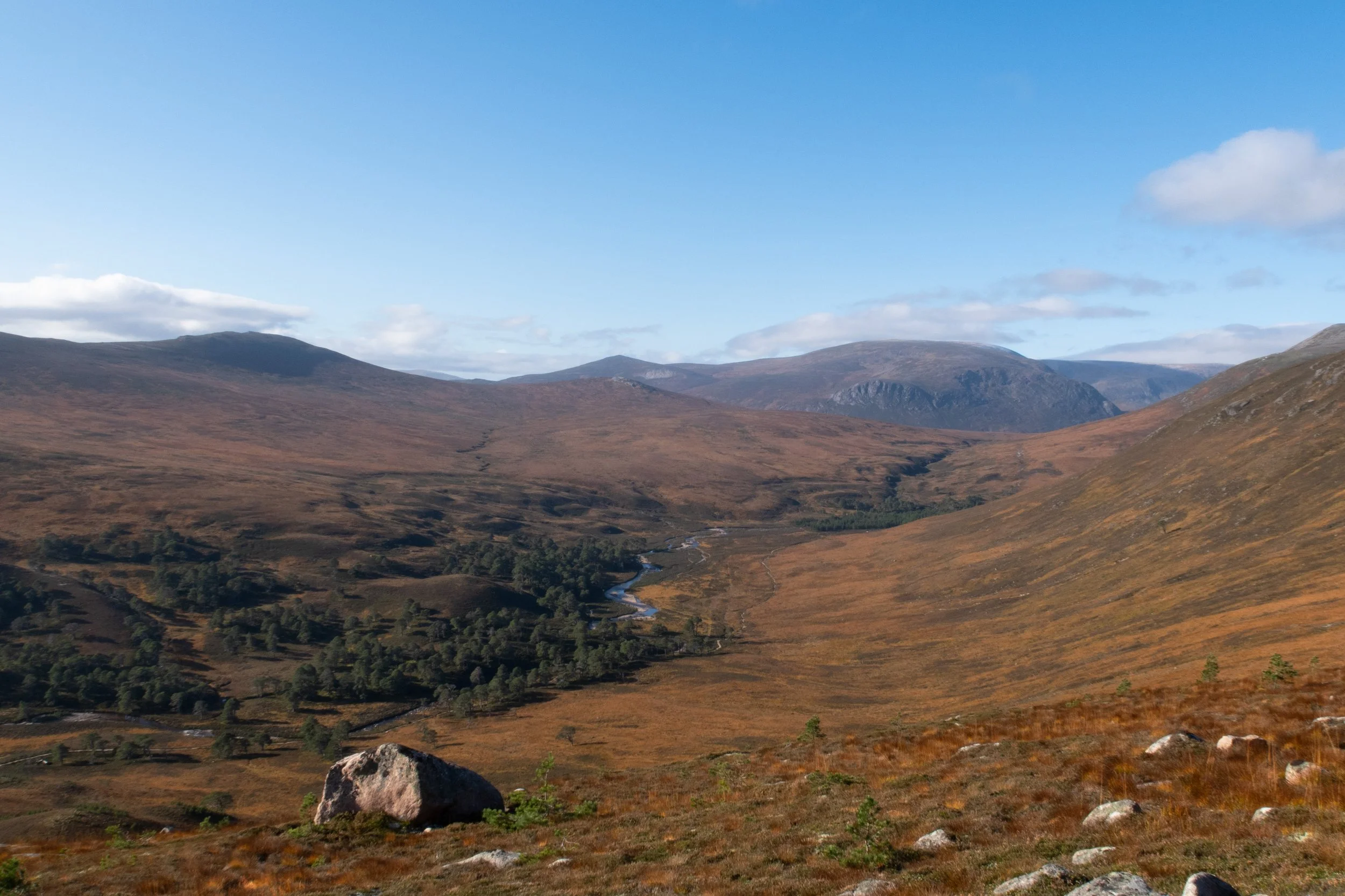 smaller epic run pictures-5.jpg