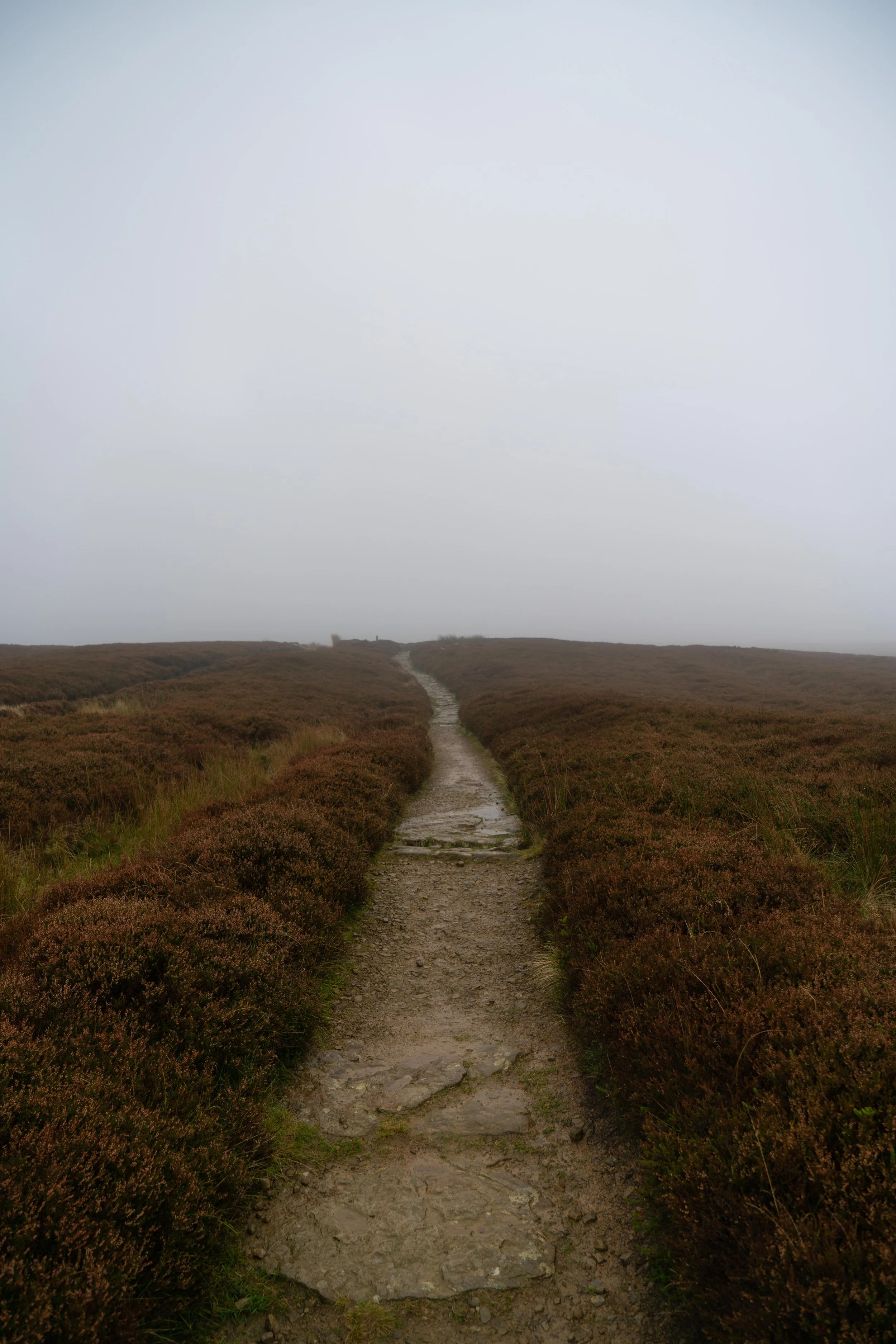 A narrow dirt path running through a landscape of brown bushes under an overcast sky.