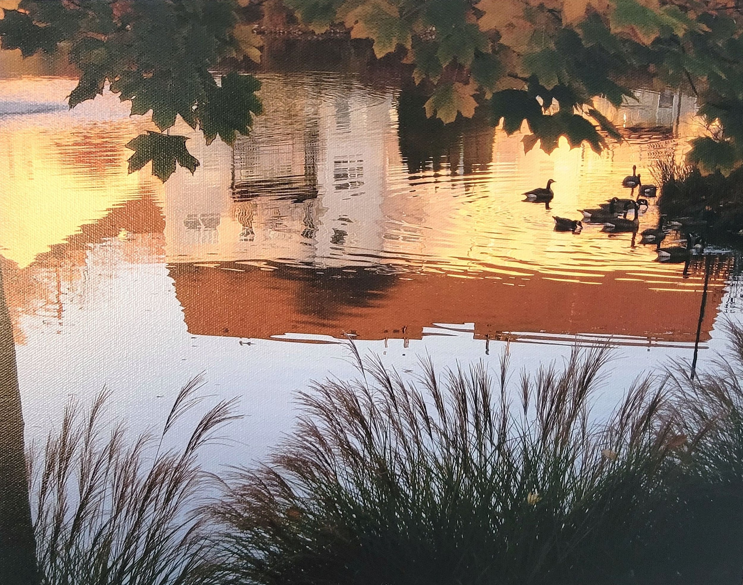 A serene lake at sunset with ducks swimming near the shore, framed by trees and grasses.