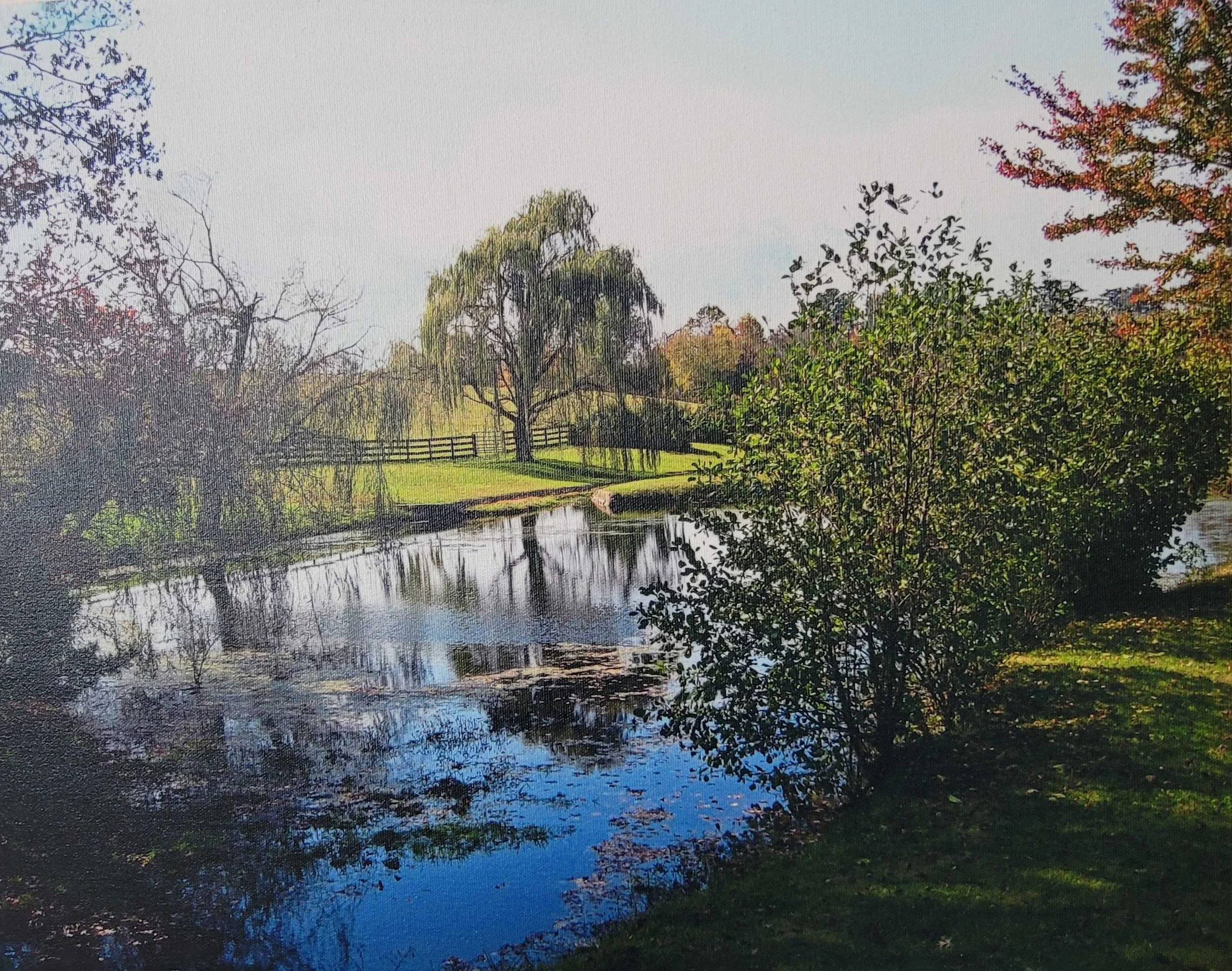 A peaceful park scene with a pond, surrounded by trees with leaves showing autumn colors, and a fence in the background.