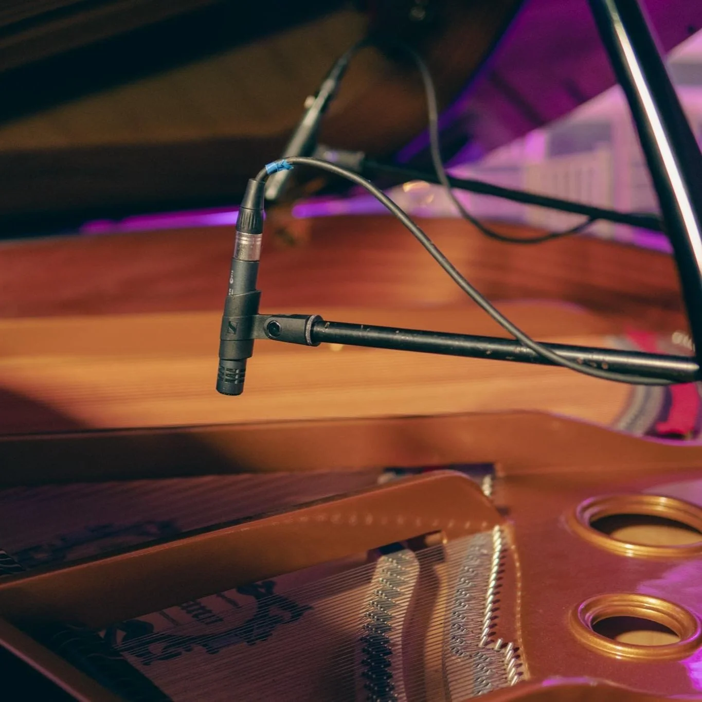 Close-up of a microphone inside a grand piano