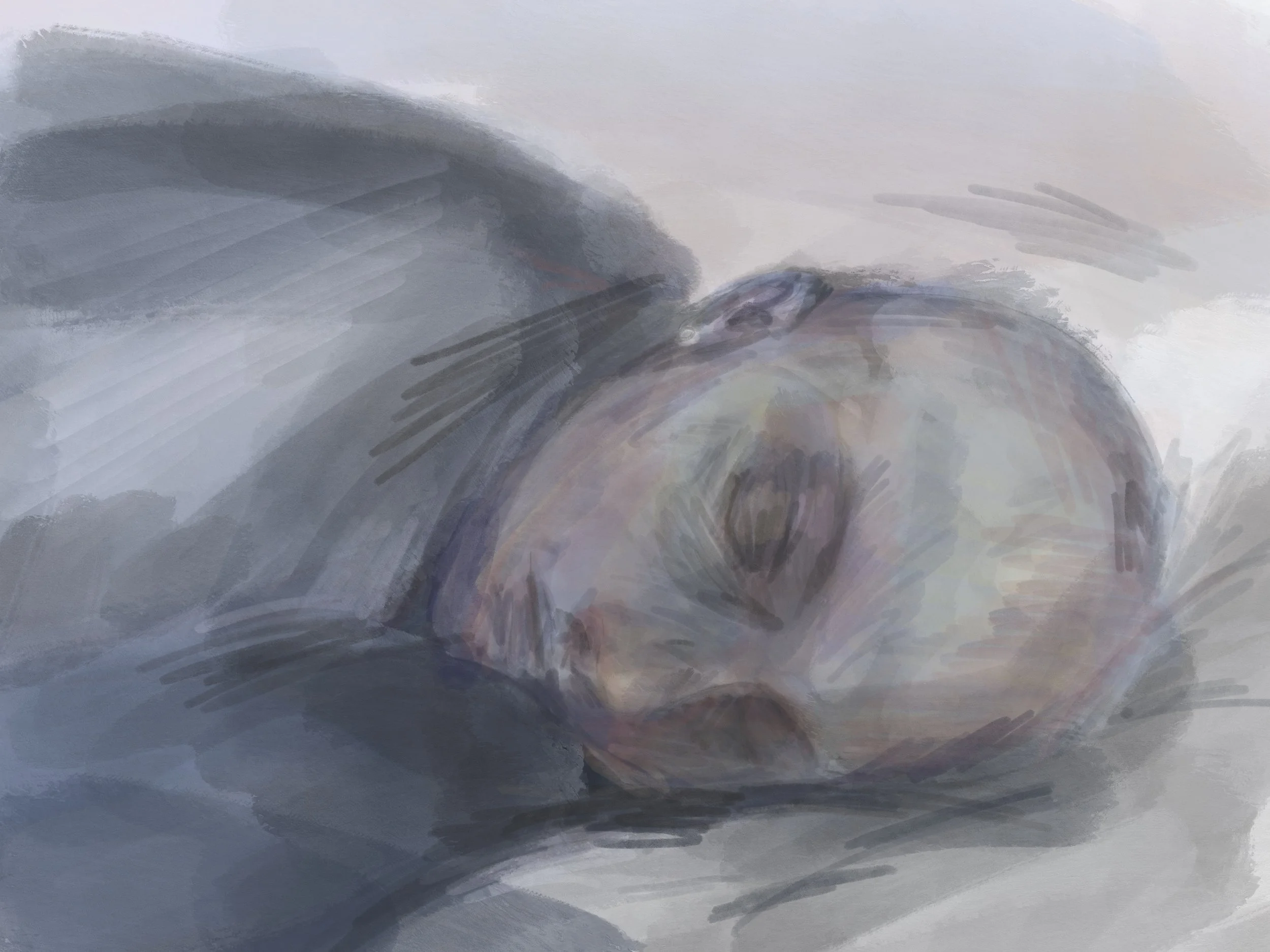Untitled_Artwork 1.jpg