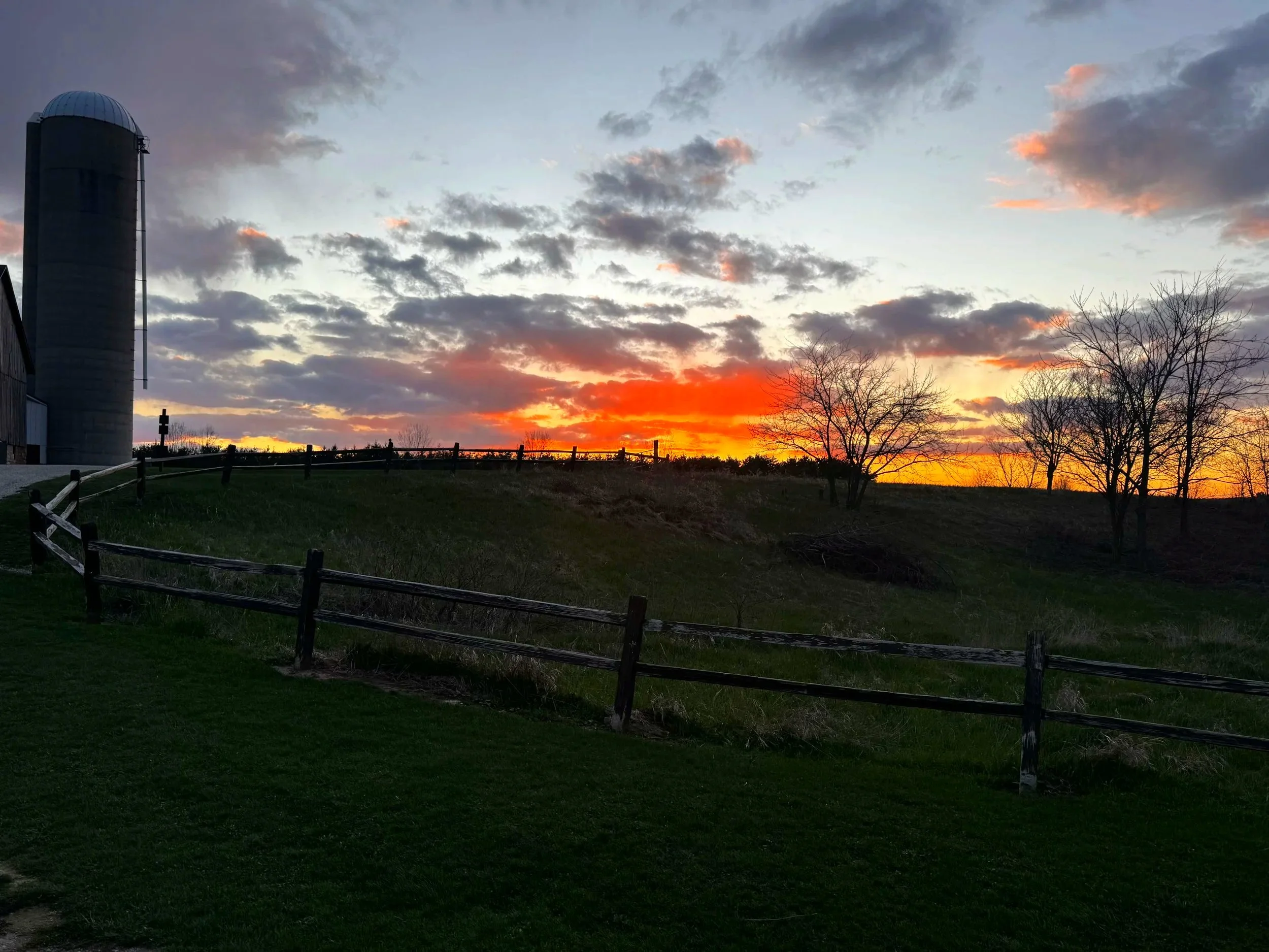 A rural landscape at sunset with a building and silo on the left side, trees without leaves, green grass, and a wooden fence in the foreground.