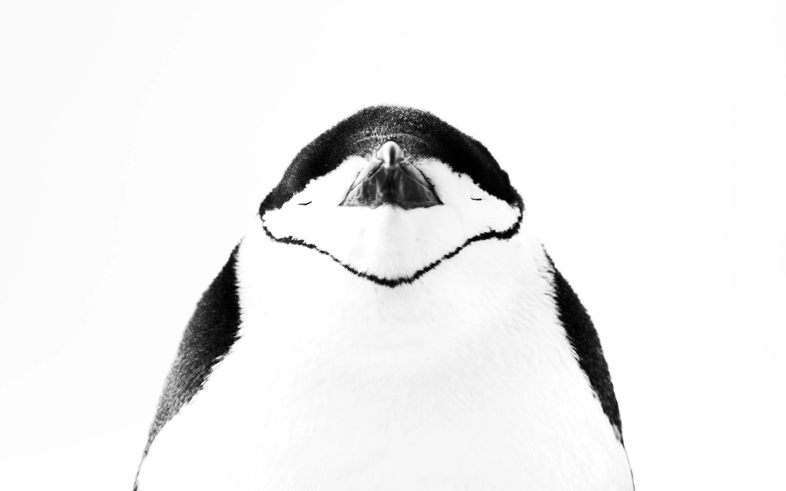 Antarctica’s Ross Sea: In The Wake of Scott &amp; Shackleton