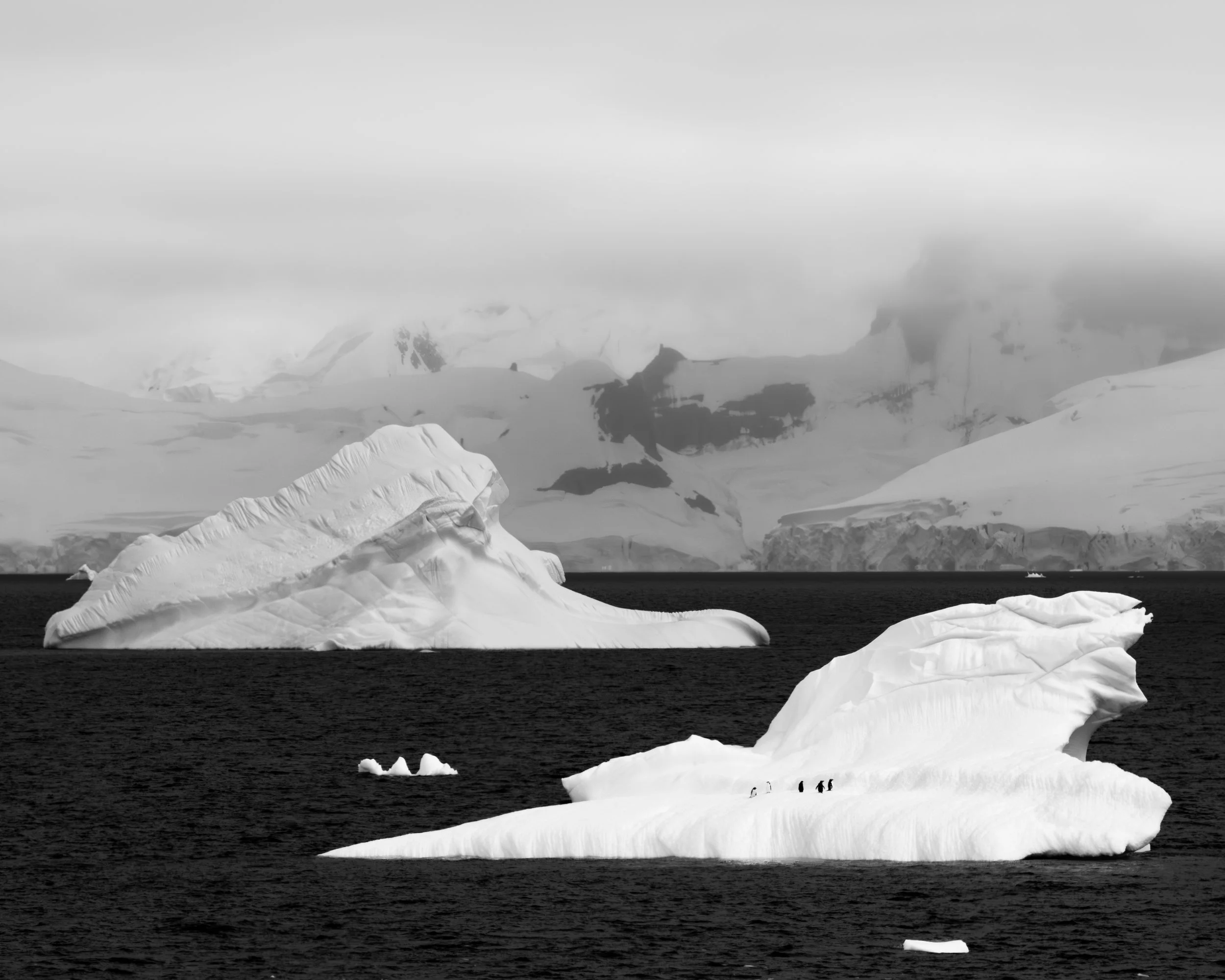 'Cathedrals of Ice' - 

Across the ink-dark waters of deepest Antarctica, great cathedrals of ice rise, their alabaster walls folded and carved by decades of wind and sea. Upon one drifting sanctuary, a handful of Chinstrap Penguins gather like tiny 
