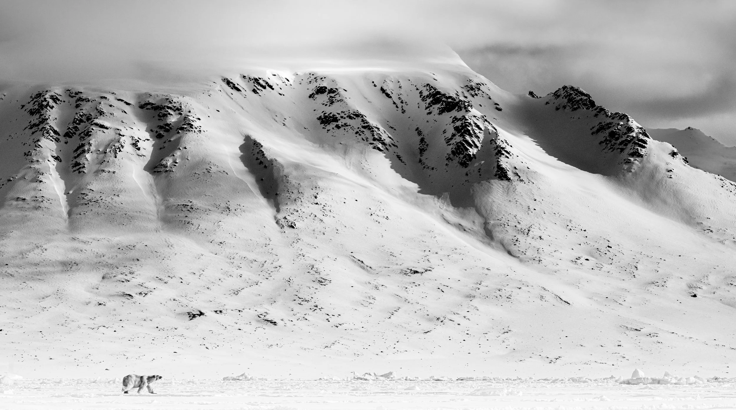 A black and white photograph of a snowy Arctic mountain landscape with a large snow-covered mountain in the background, as a Polar Bear walks across the snow in the foreground.