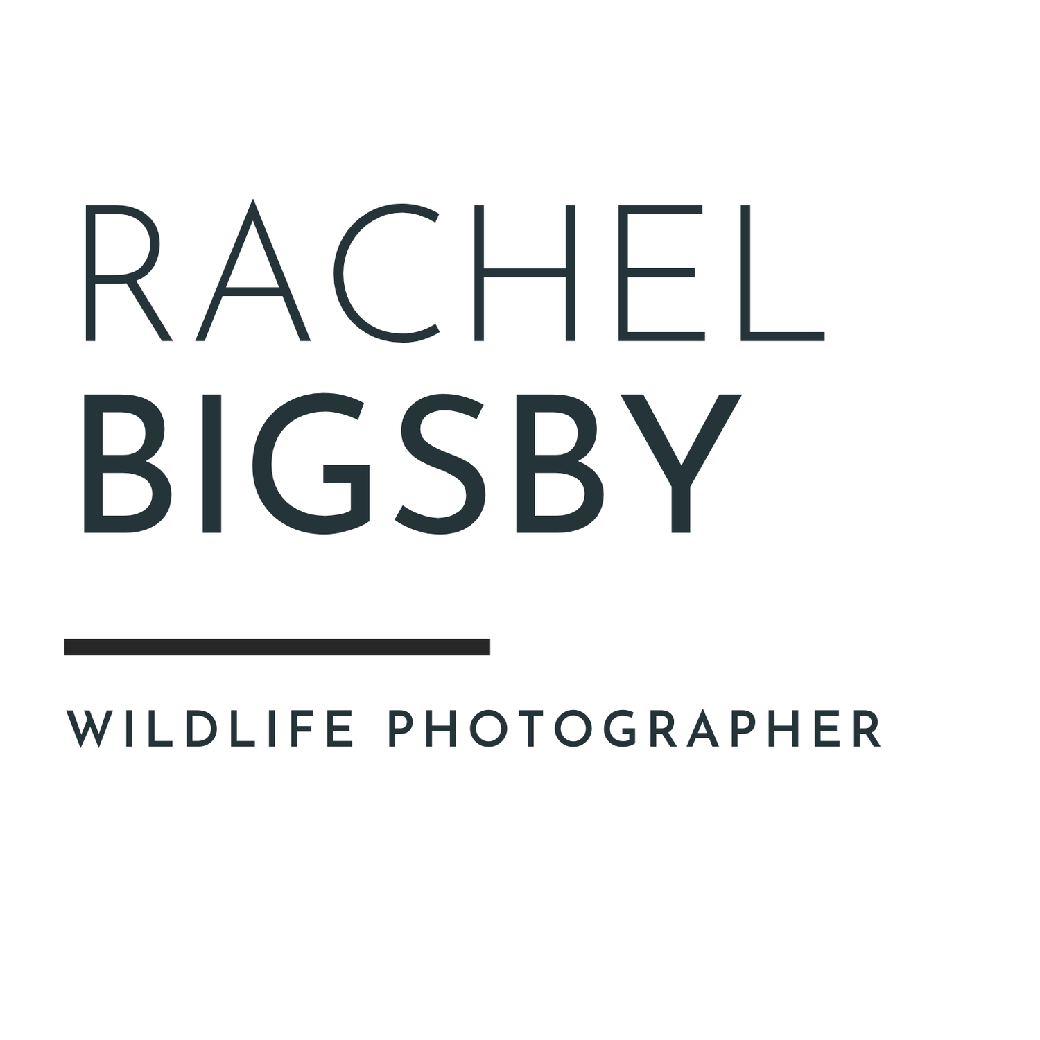 Rachel Bigsby