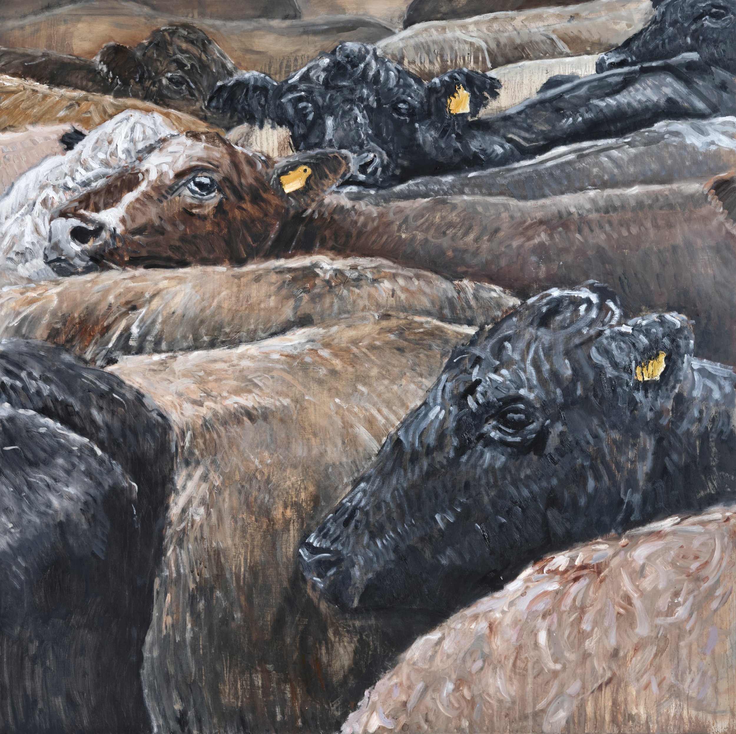 Cattle Grid. Oil on Board, 120 x 120 cm, 2026 - Available