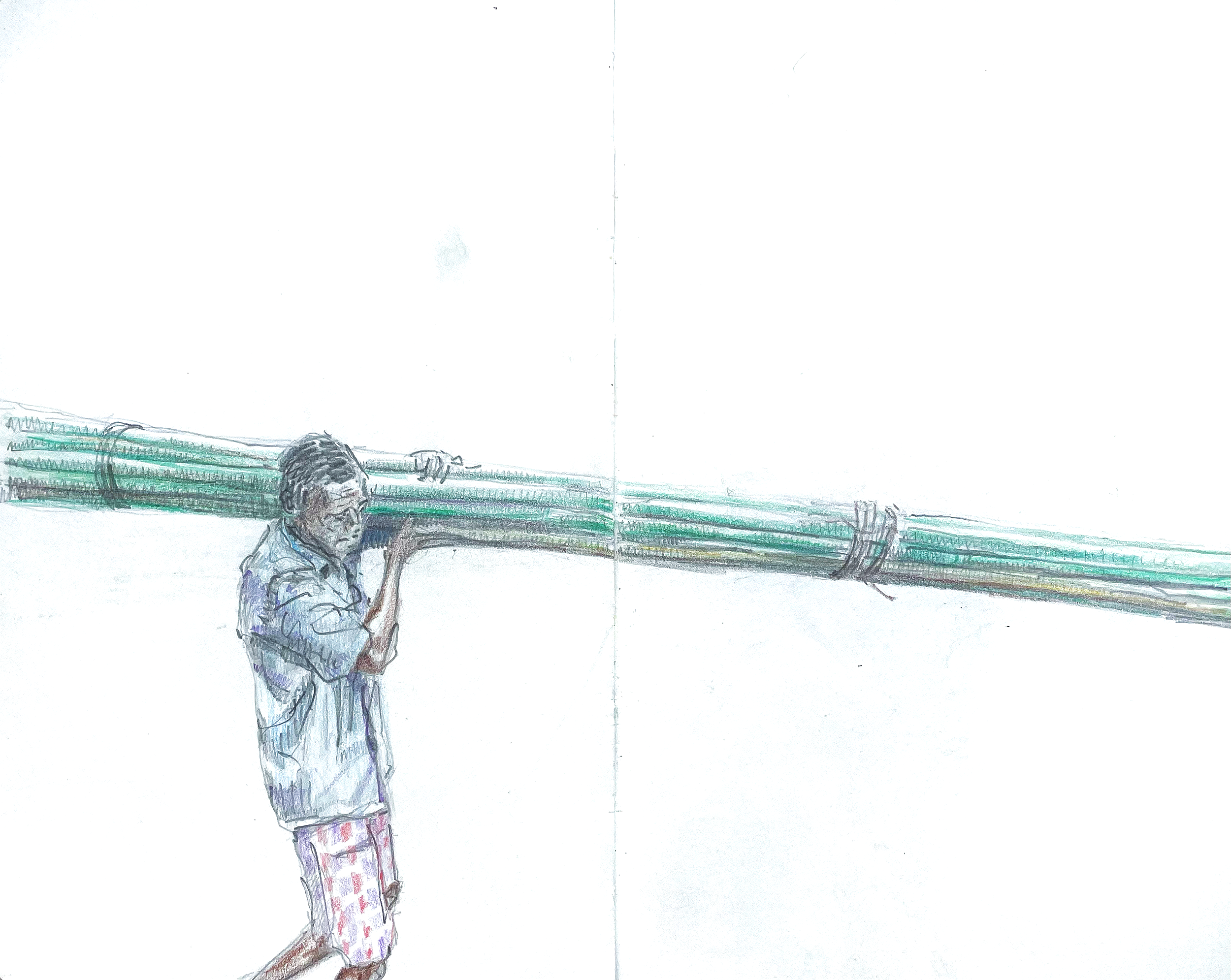 Si delivering bamboo