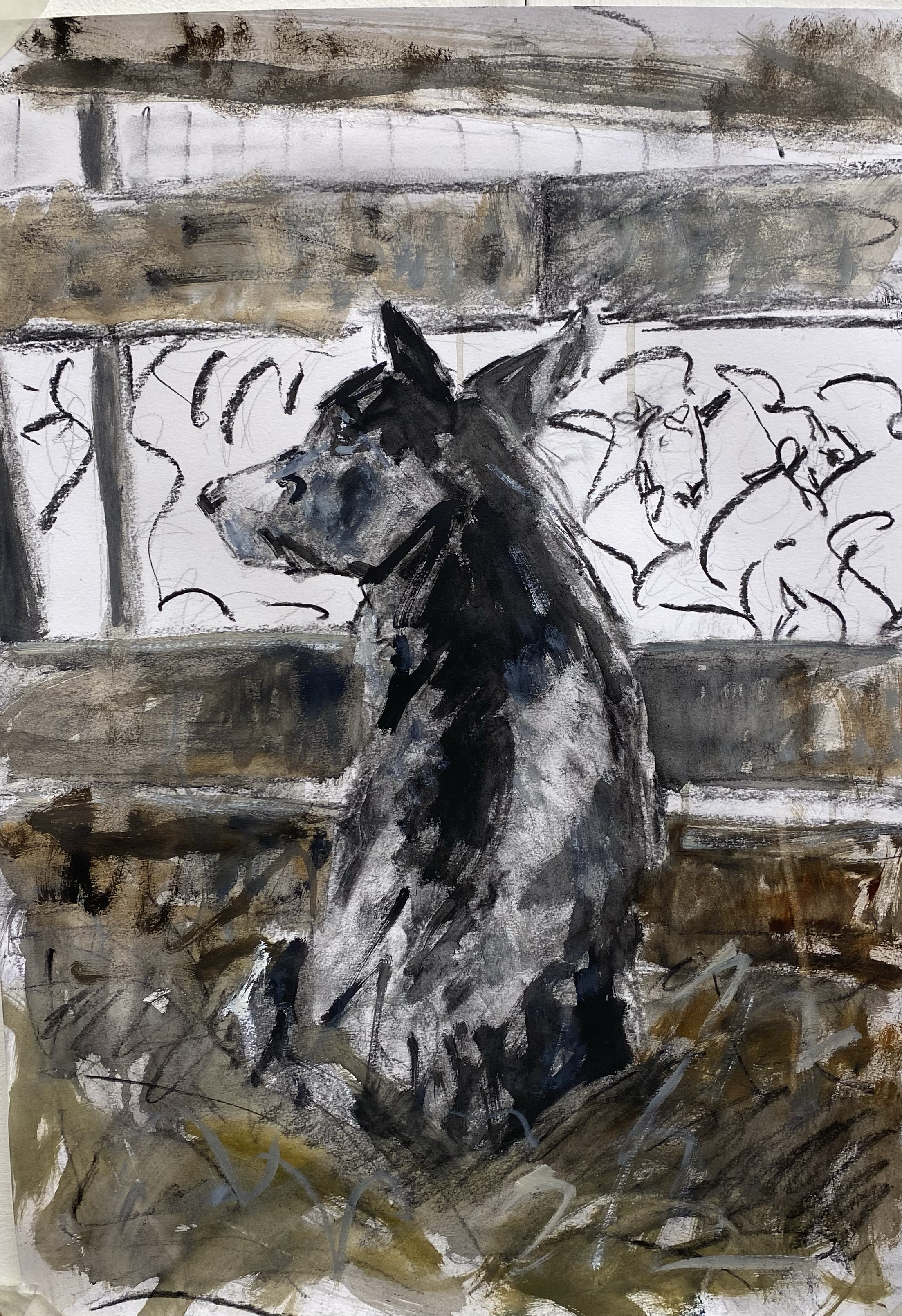 Flo, A3, Oil and Charcoal on Paper, 2025